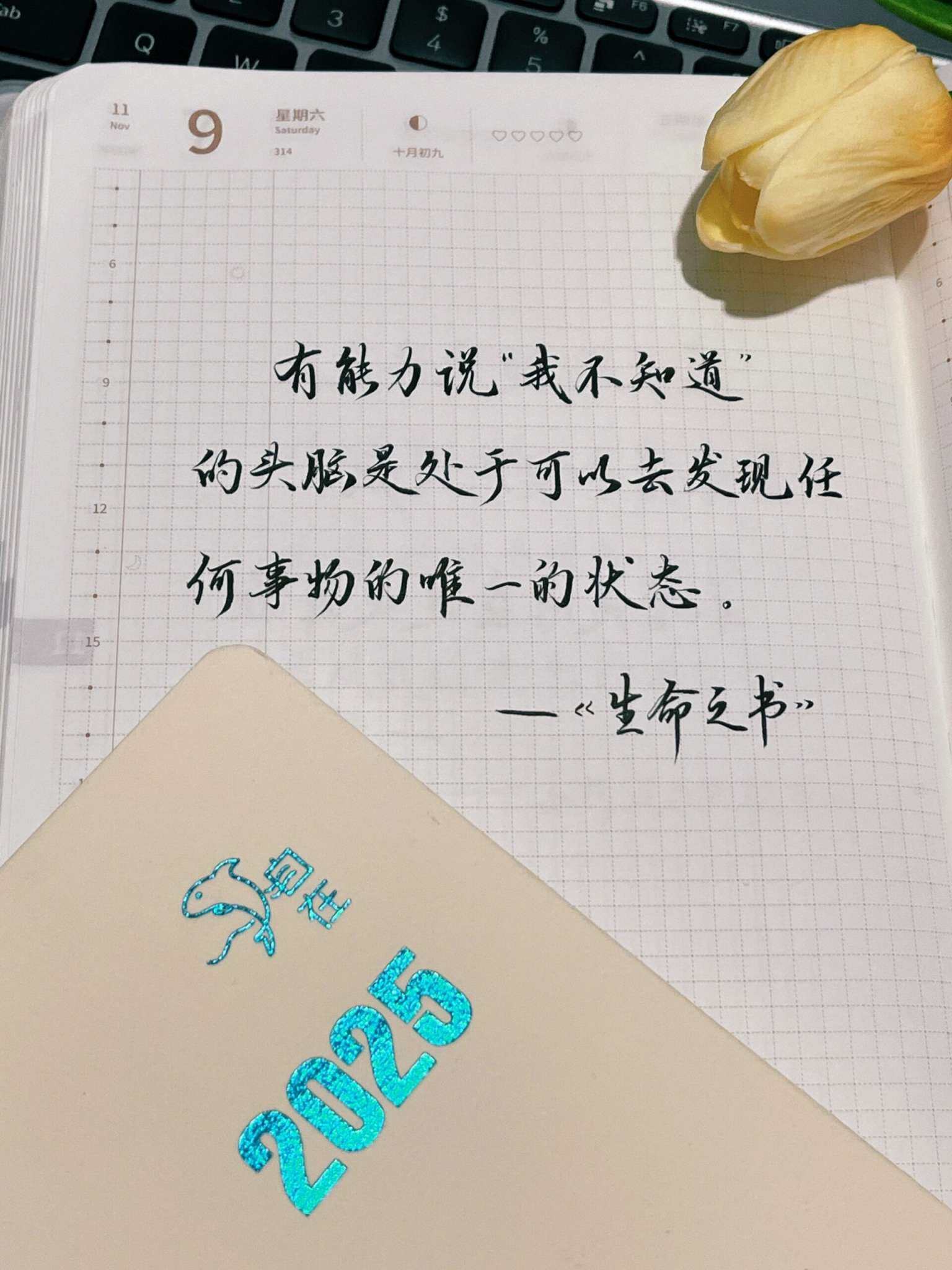 自在手帐2024年11月9日