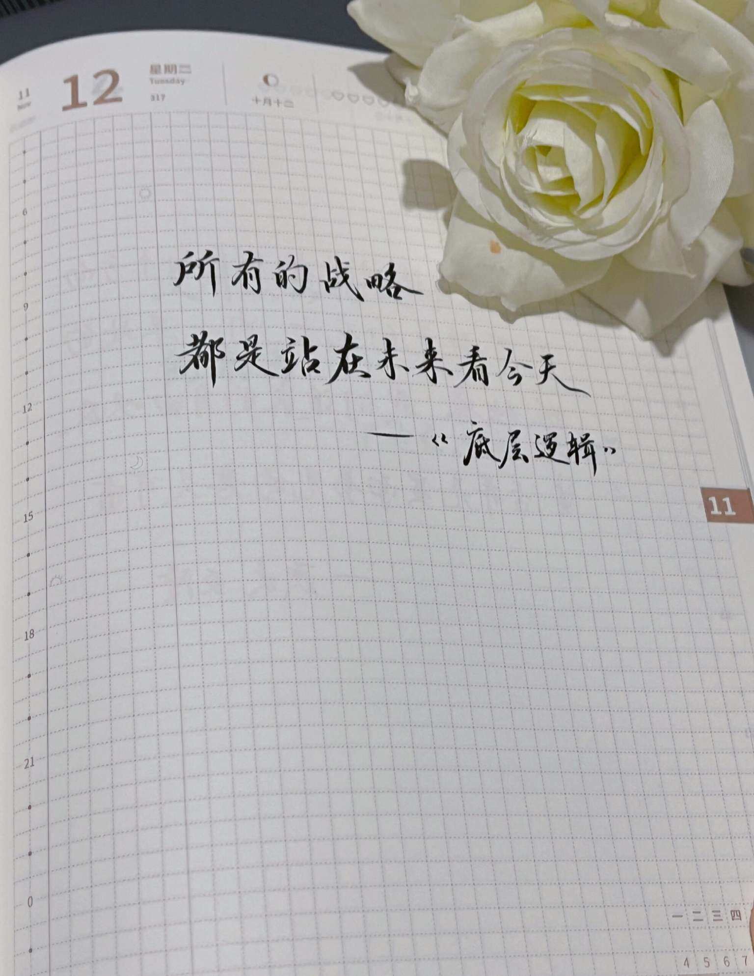 自在手帐2024年11月12日