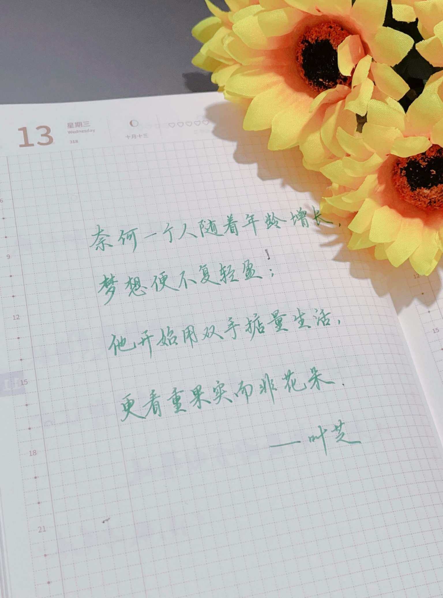 自在手帐2024年11月13日