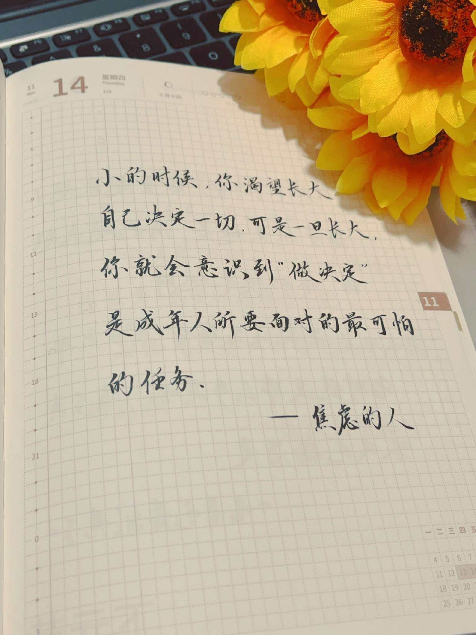 自在手帐2024年11月14日