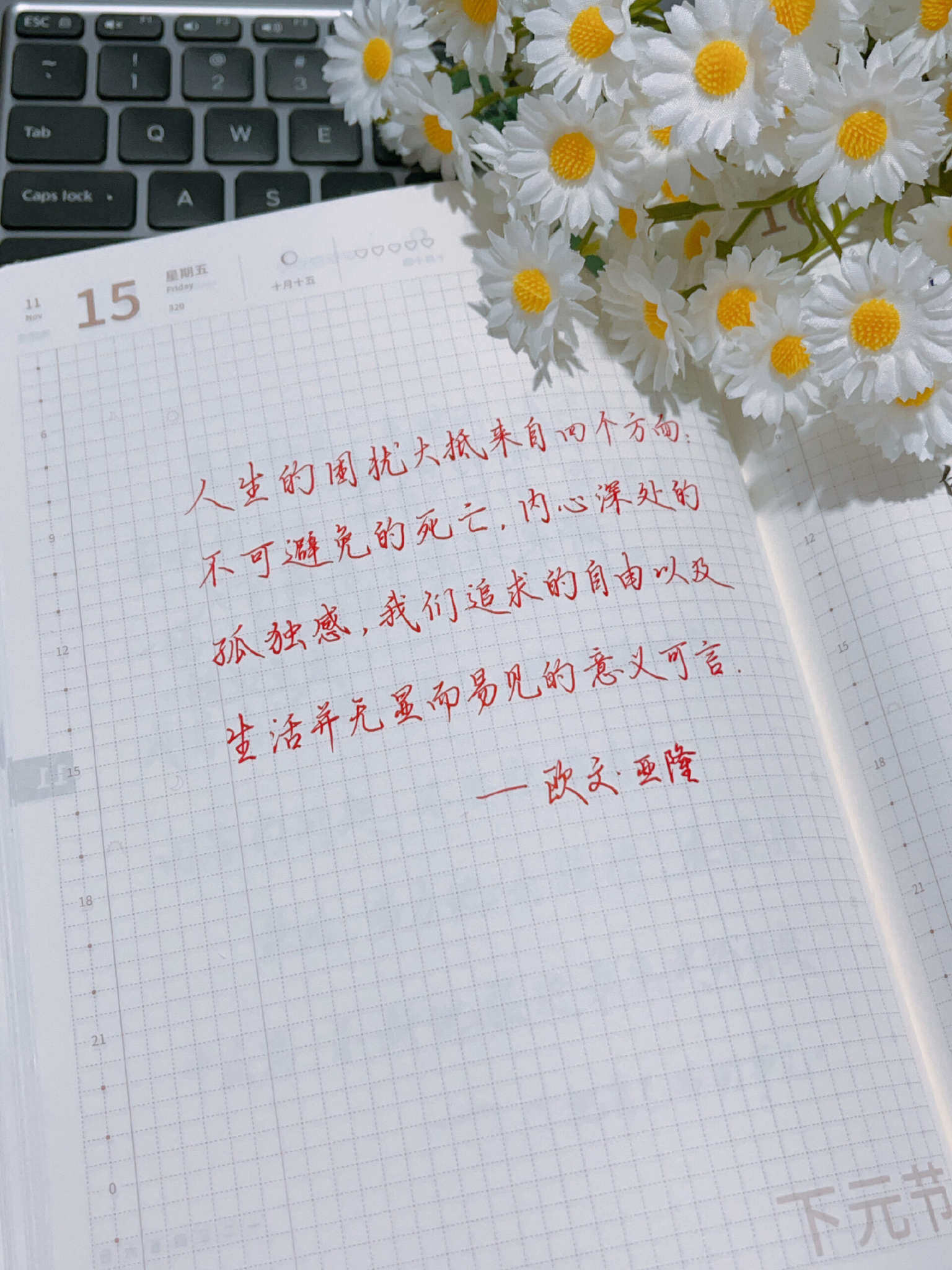自在手帐2024年11月15日