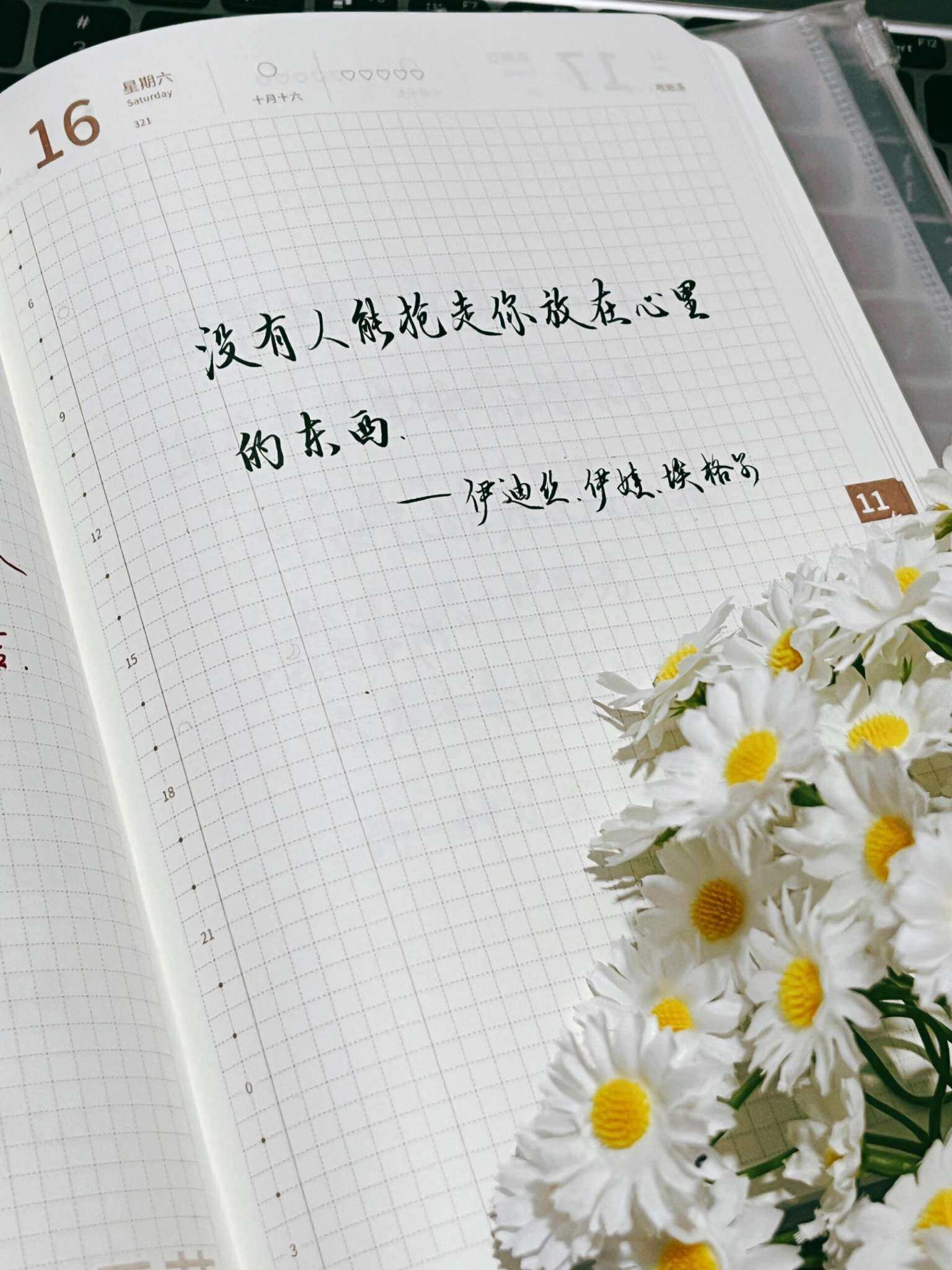 自在手帐2024年11月16日