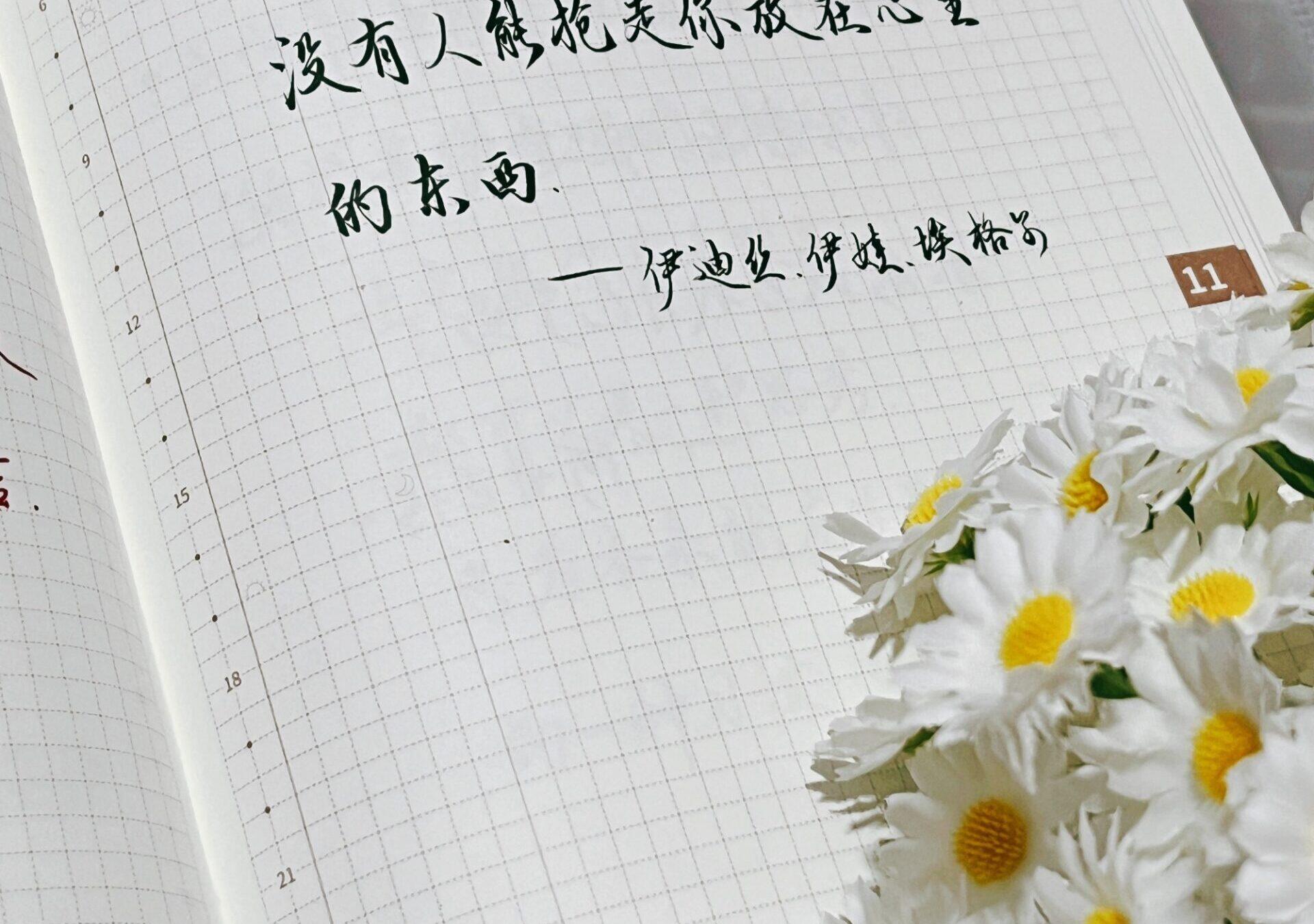 守护心中的宝藏，它们永远只属于你！💭🌹