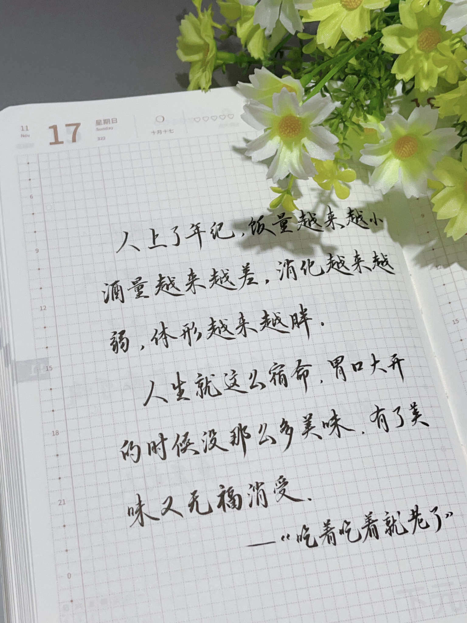自在手帐2024年11月17日
