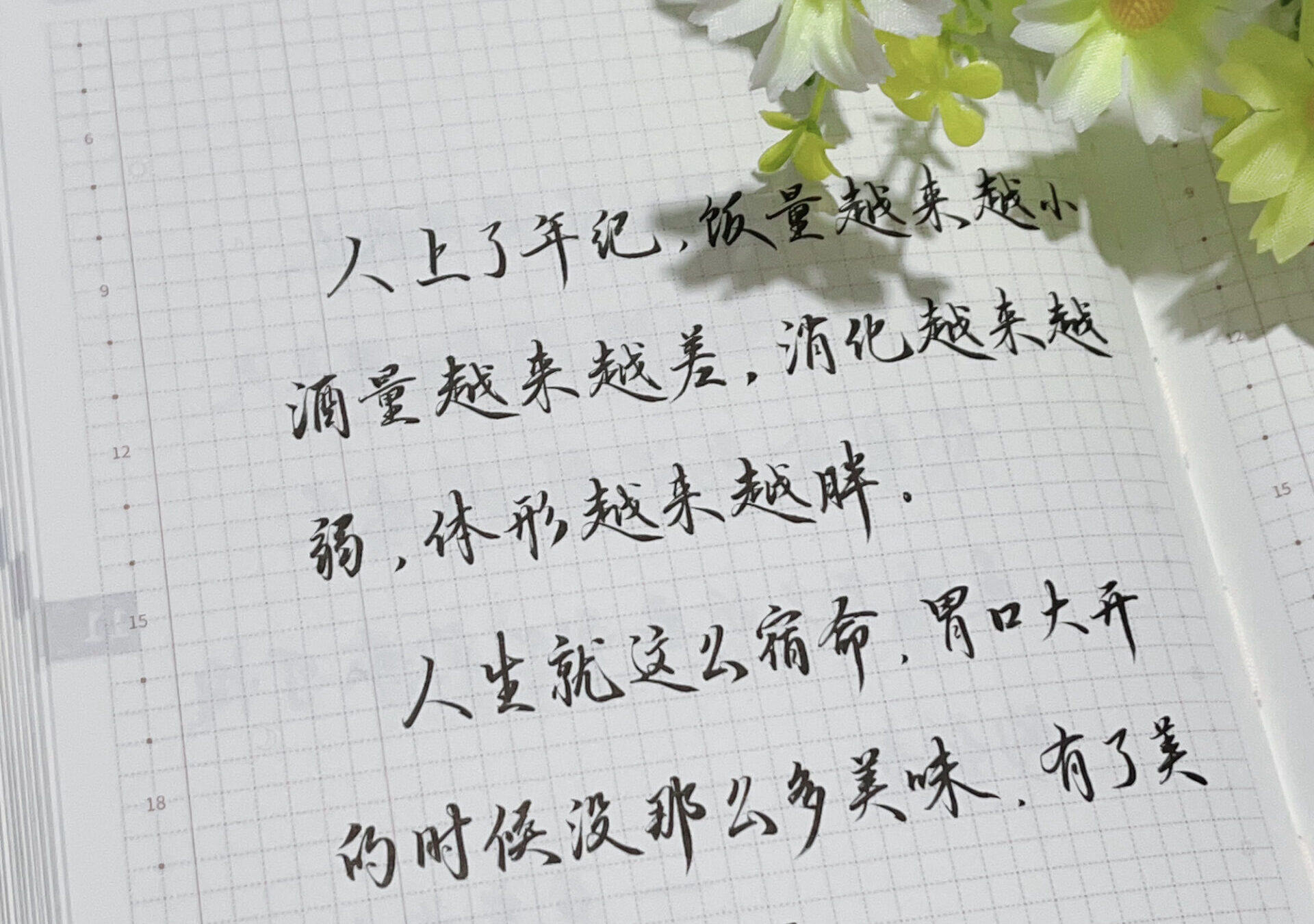 自在手帐2024年11月17日