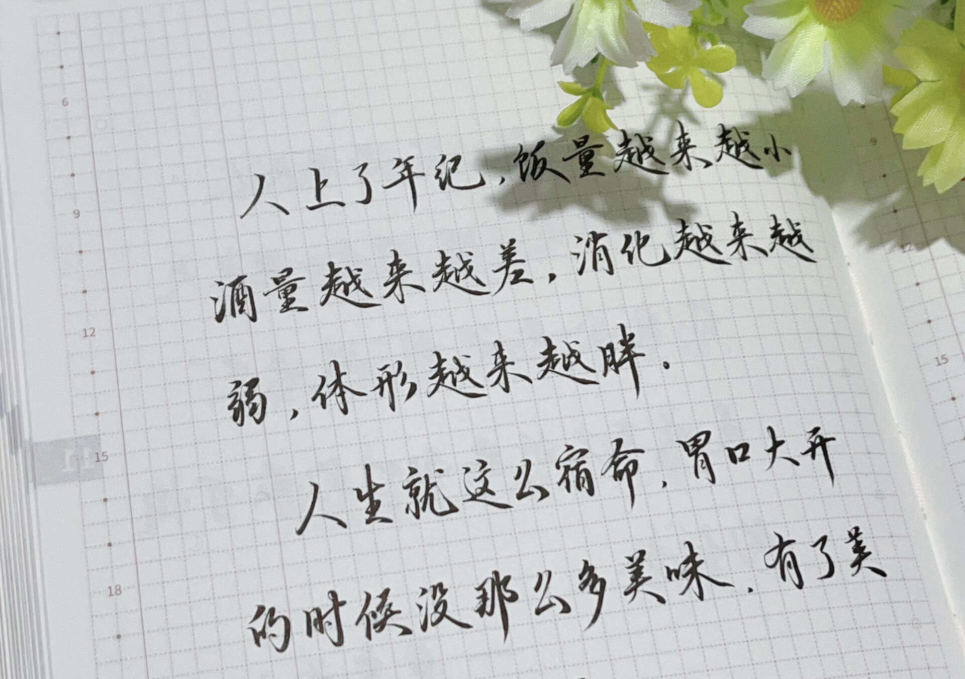自在手帐2024年11月17日