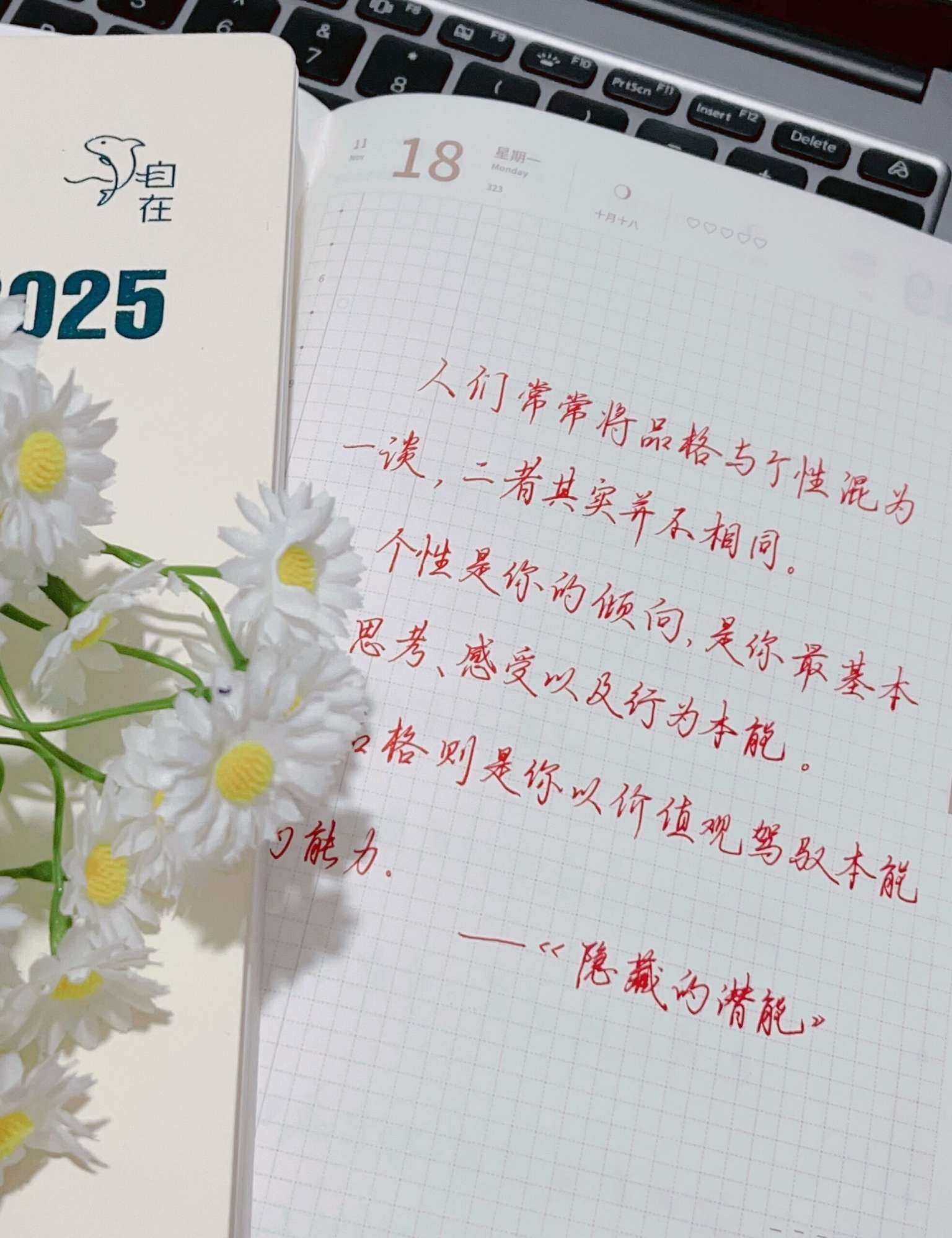 自在手帐2024年11月18日