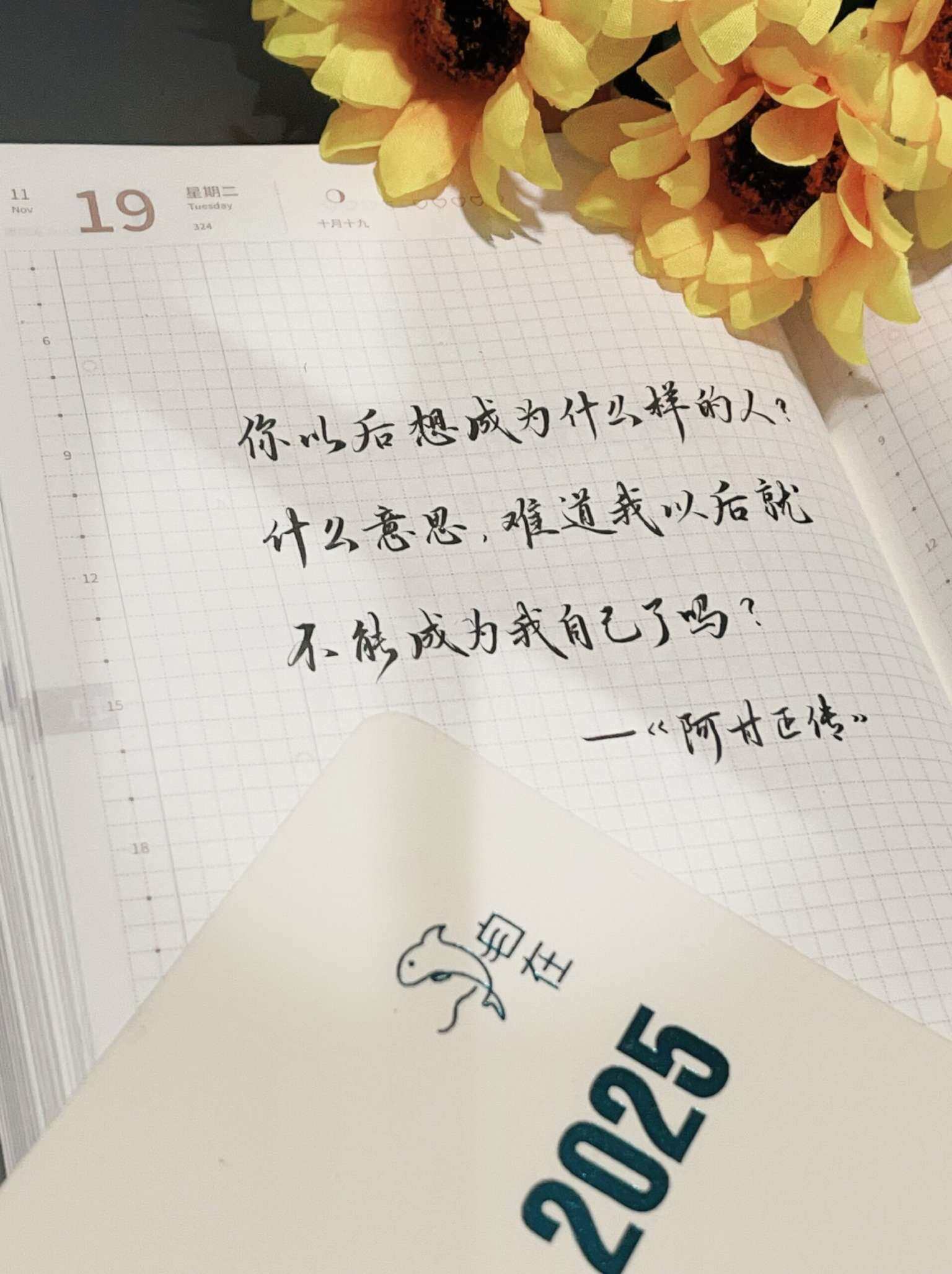 自在手帐2024年11月19日