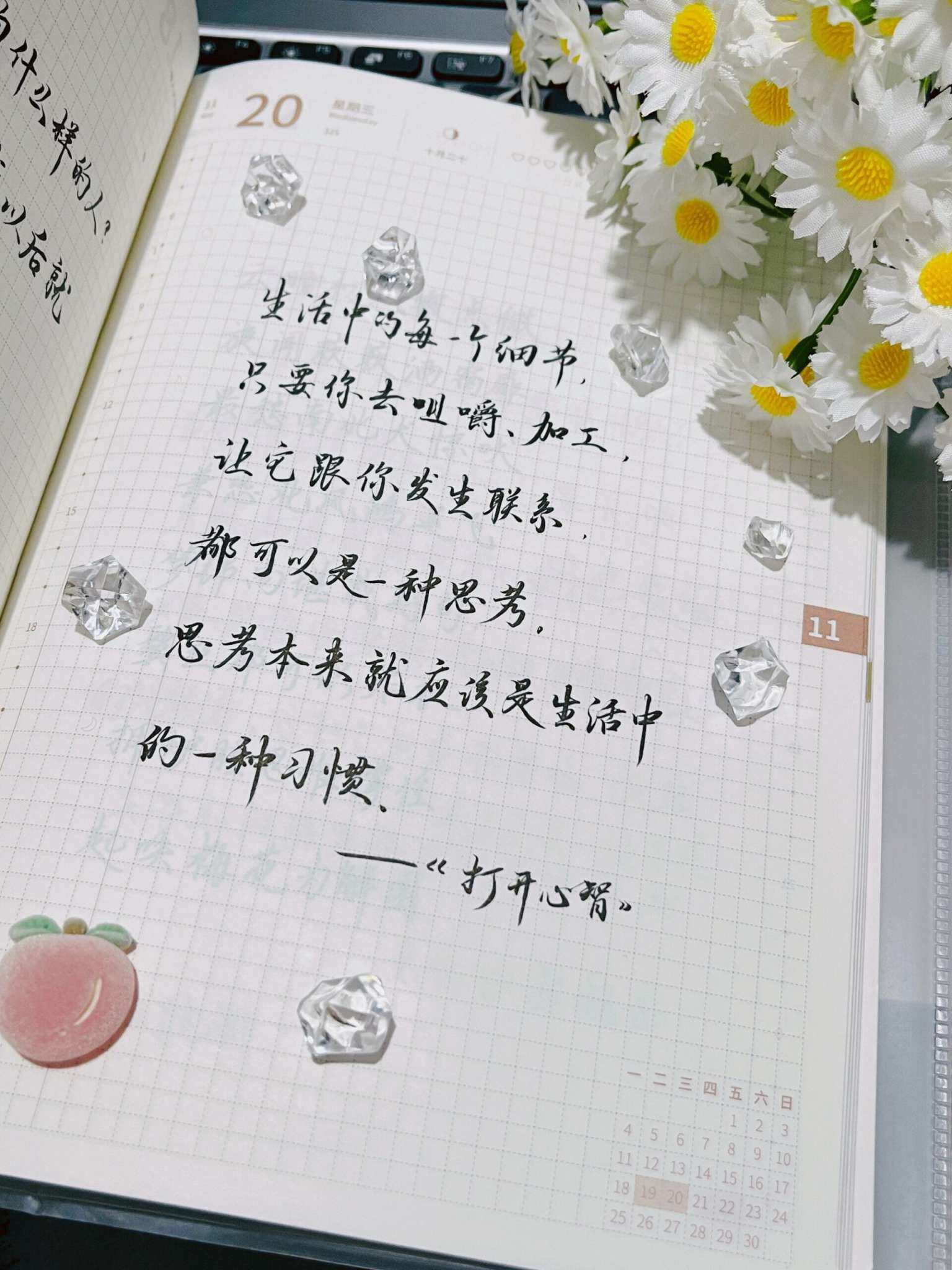 自在手帐2024年11月20日