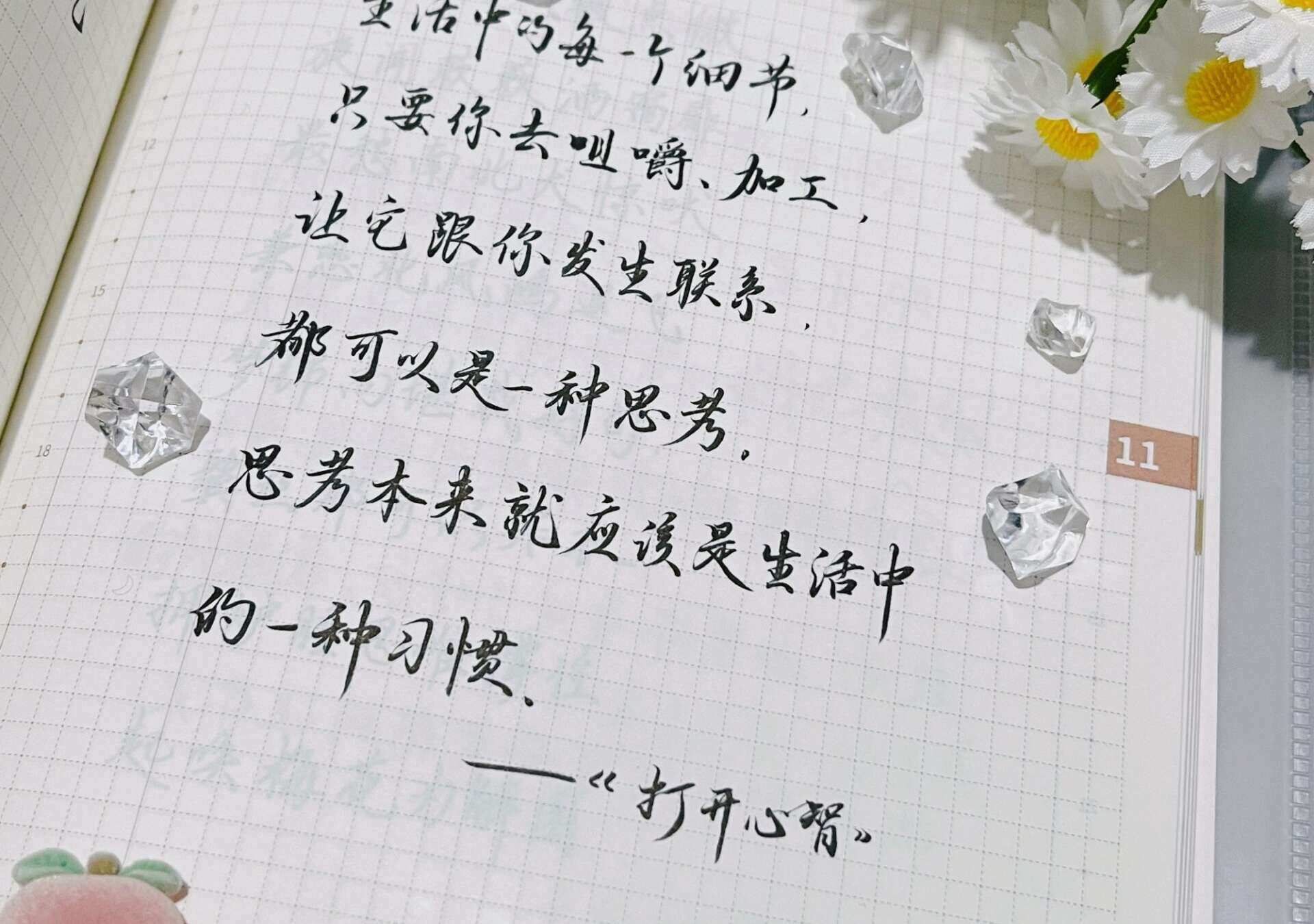 自在手帐2024年11月20日