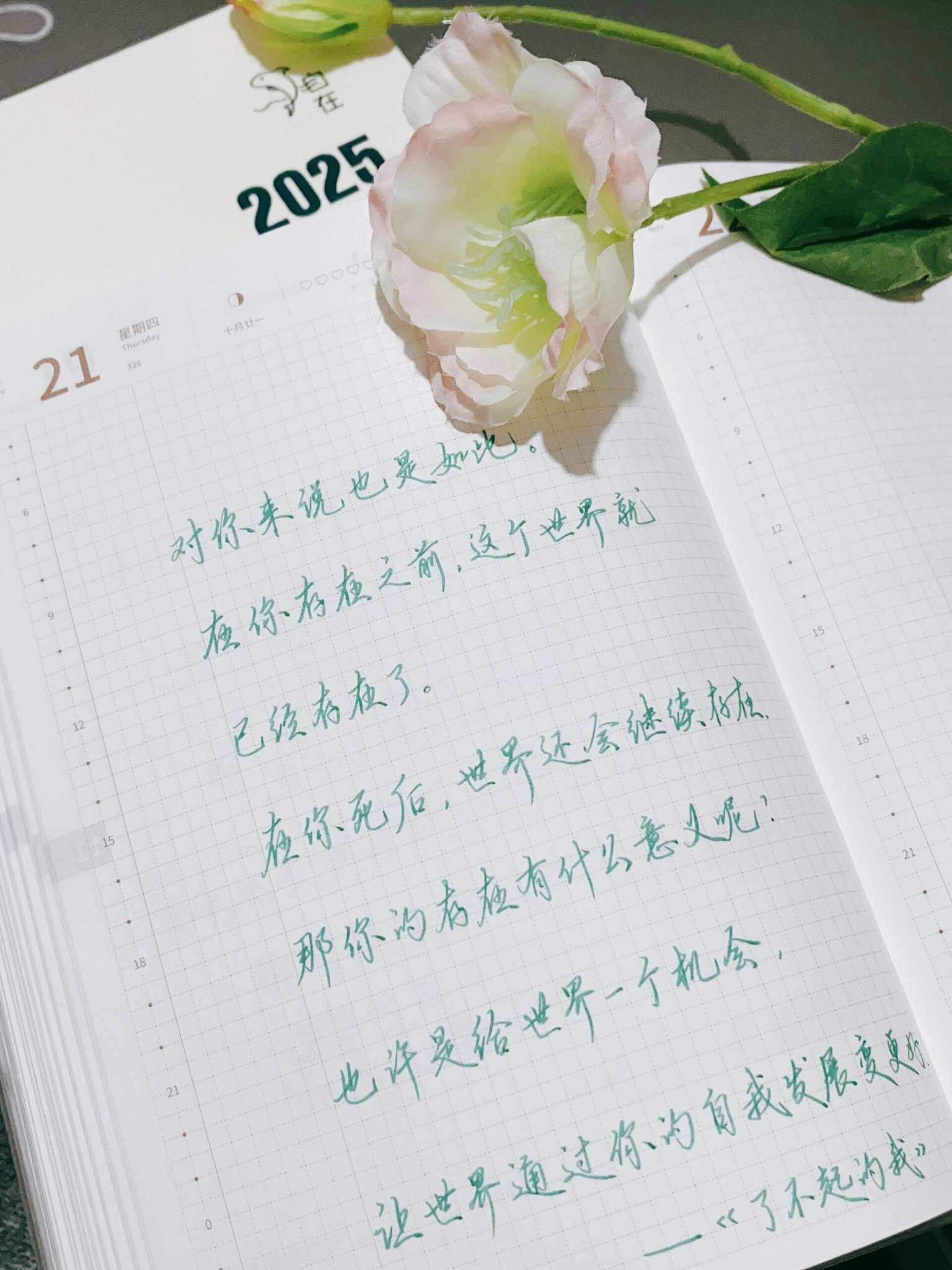 自在手帐2024年11月21日