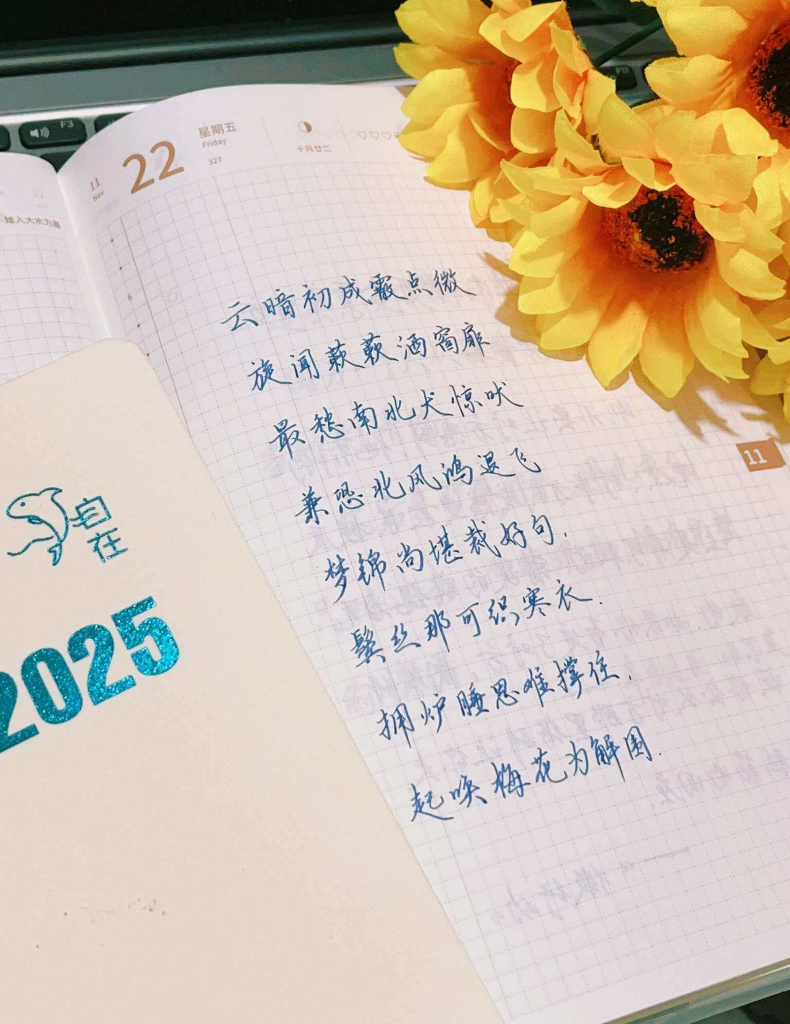 自在手帐2024年11月22日