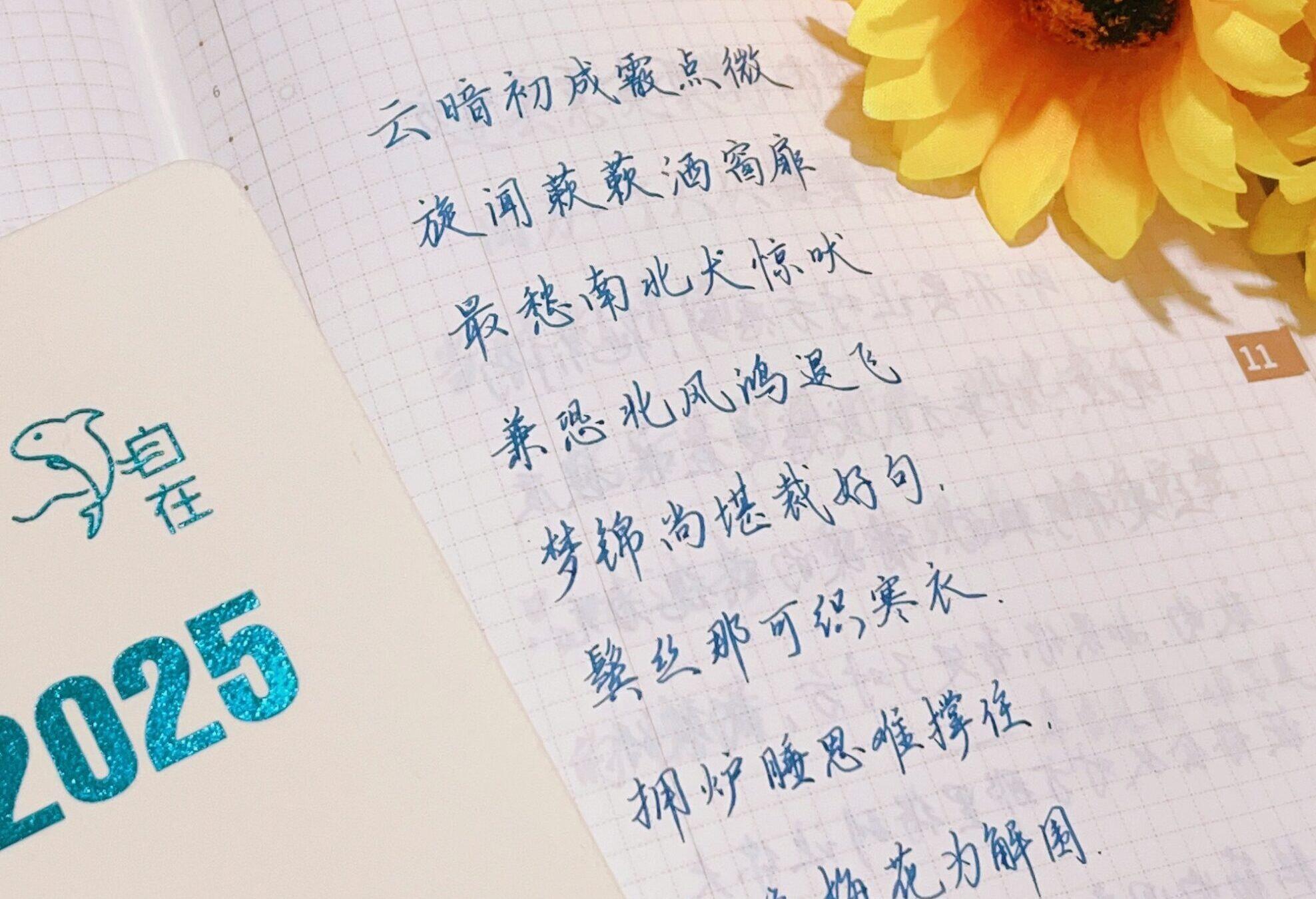 小雪|二十四节气|甲辰年