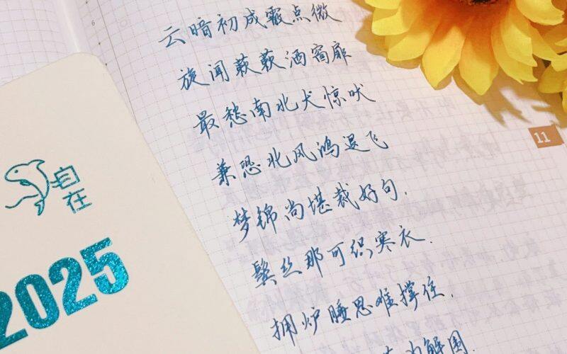 小雪|二十四节气|甲辰年
