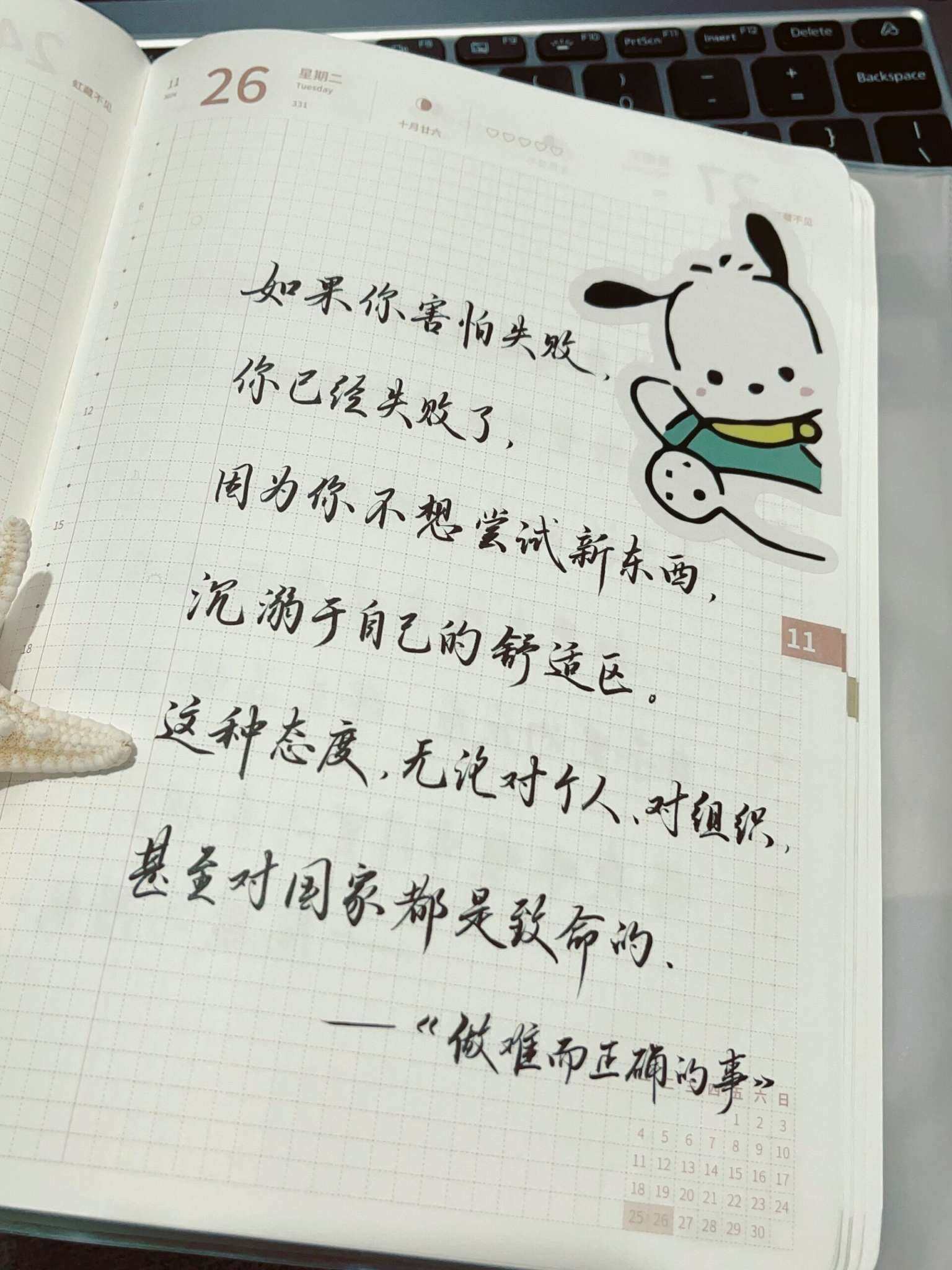 自在手帐2024年11月26日