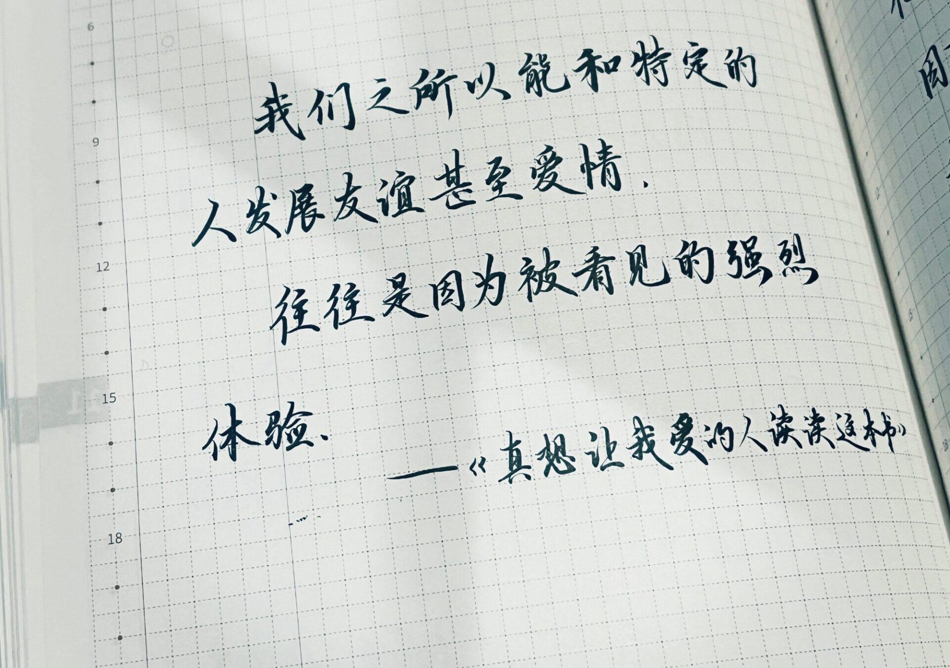 友谊与爱因被看见而生，那是心灵最深的触碰！💞