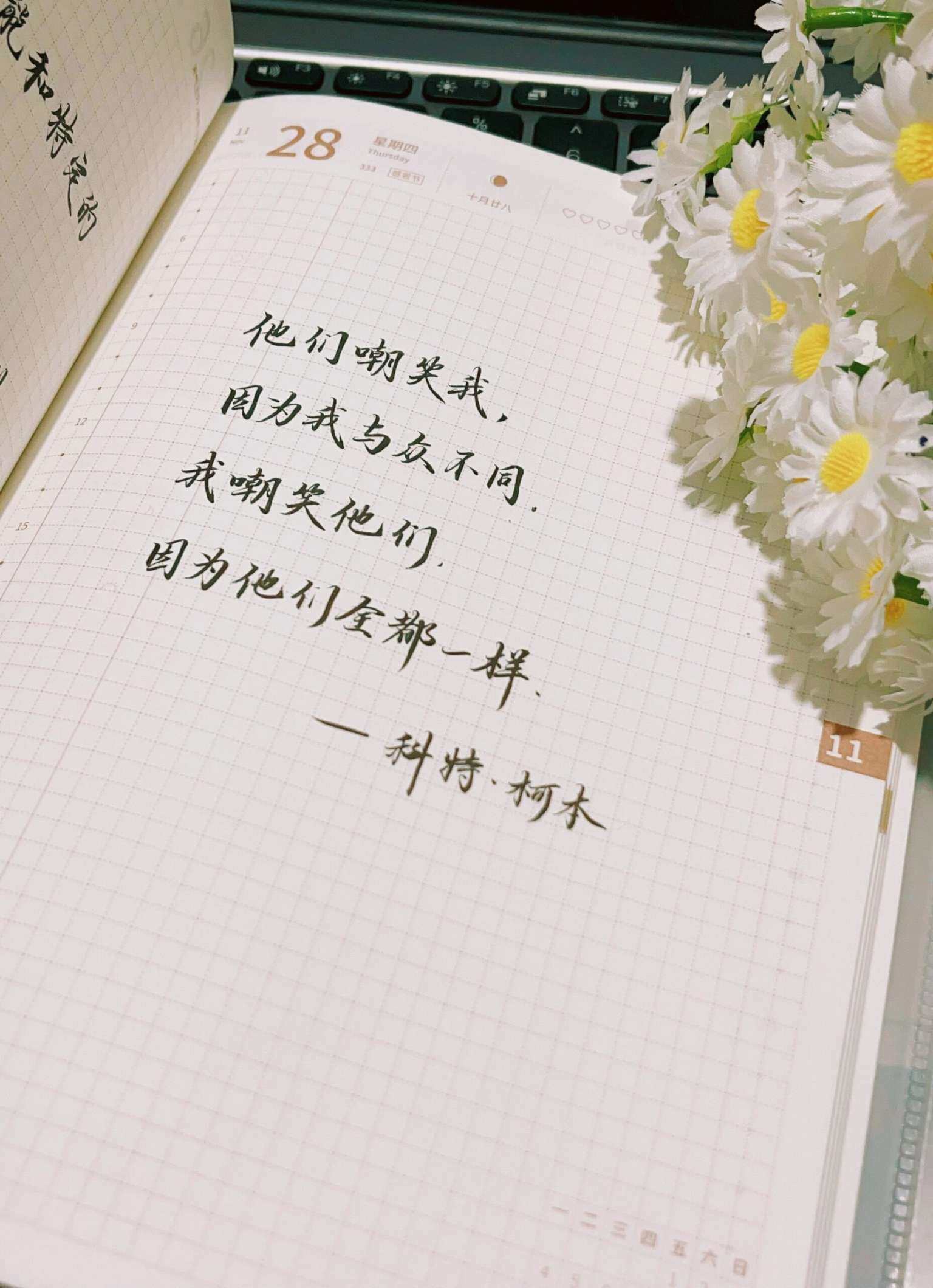 自在手帐2024年11月28日