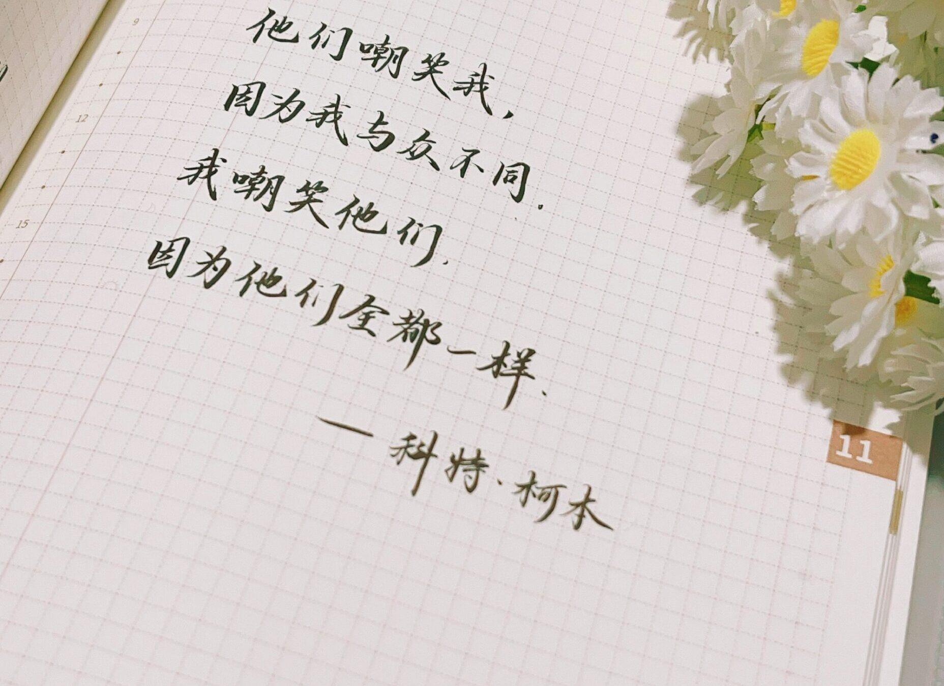 别怕与众不同，那正是你的闪光之处！💡🌊