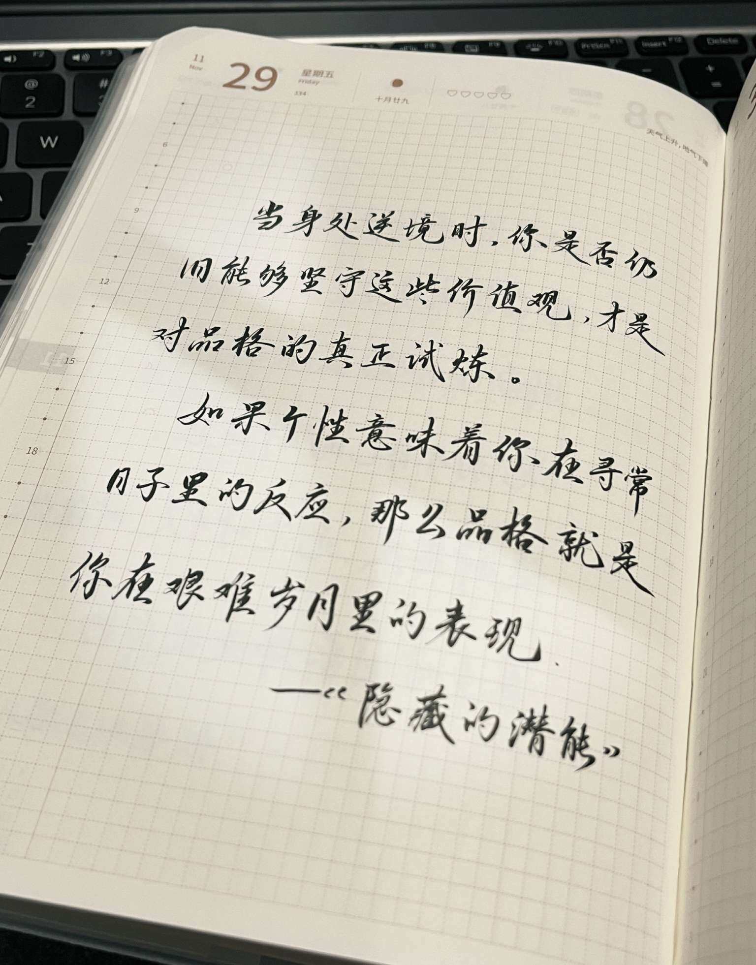 自在手帐2024年11月29日