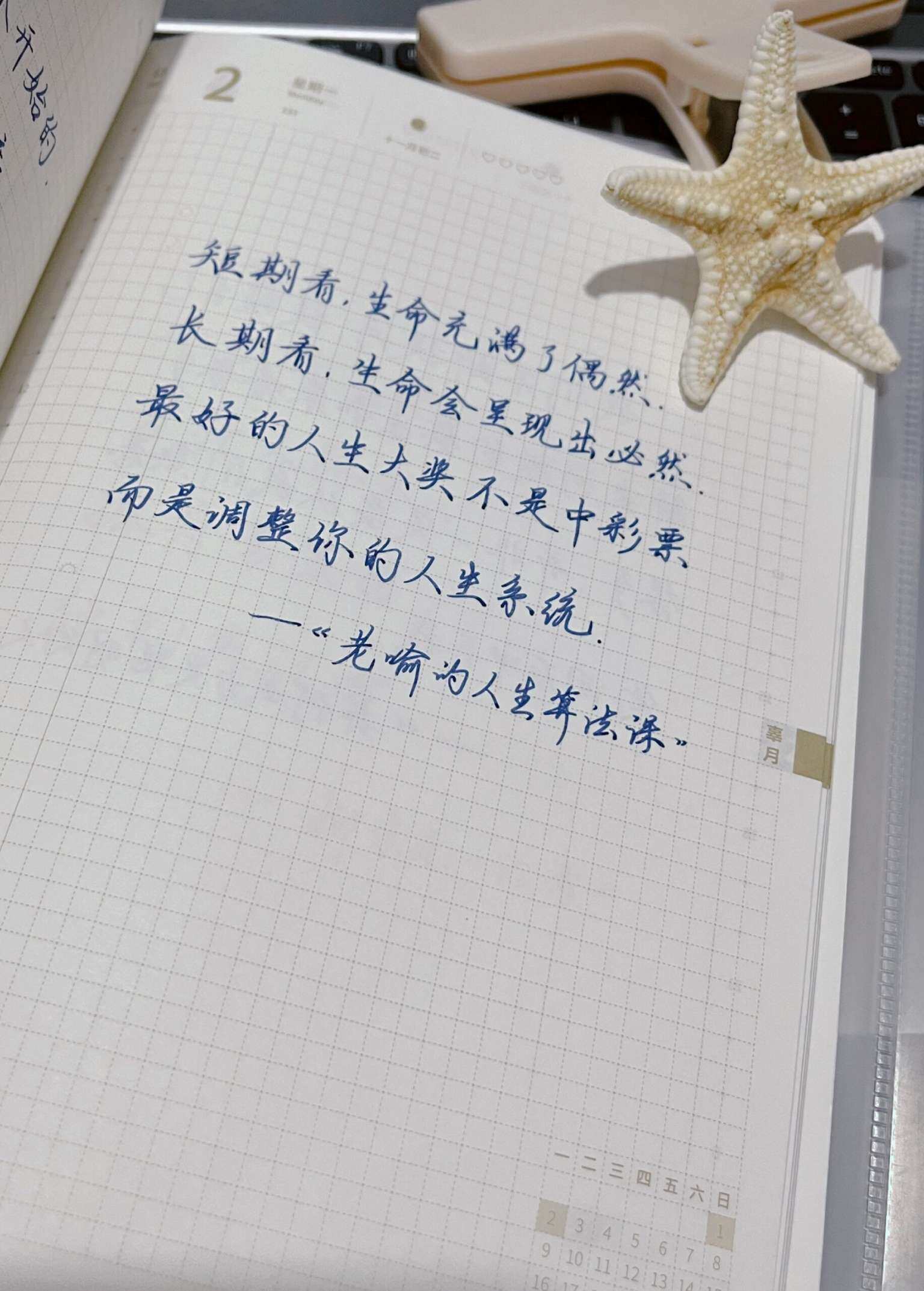 自在手帐2024年12月2日