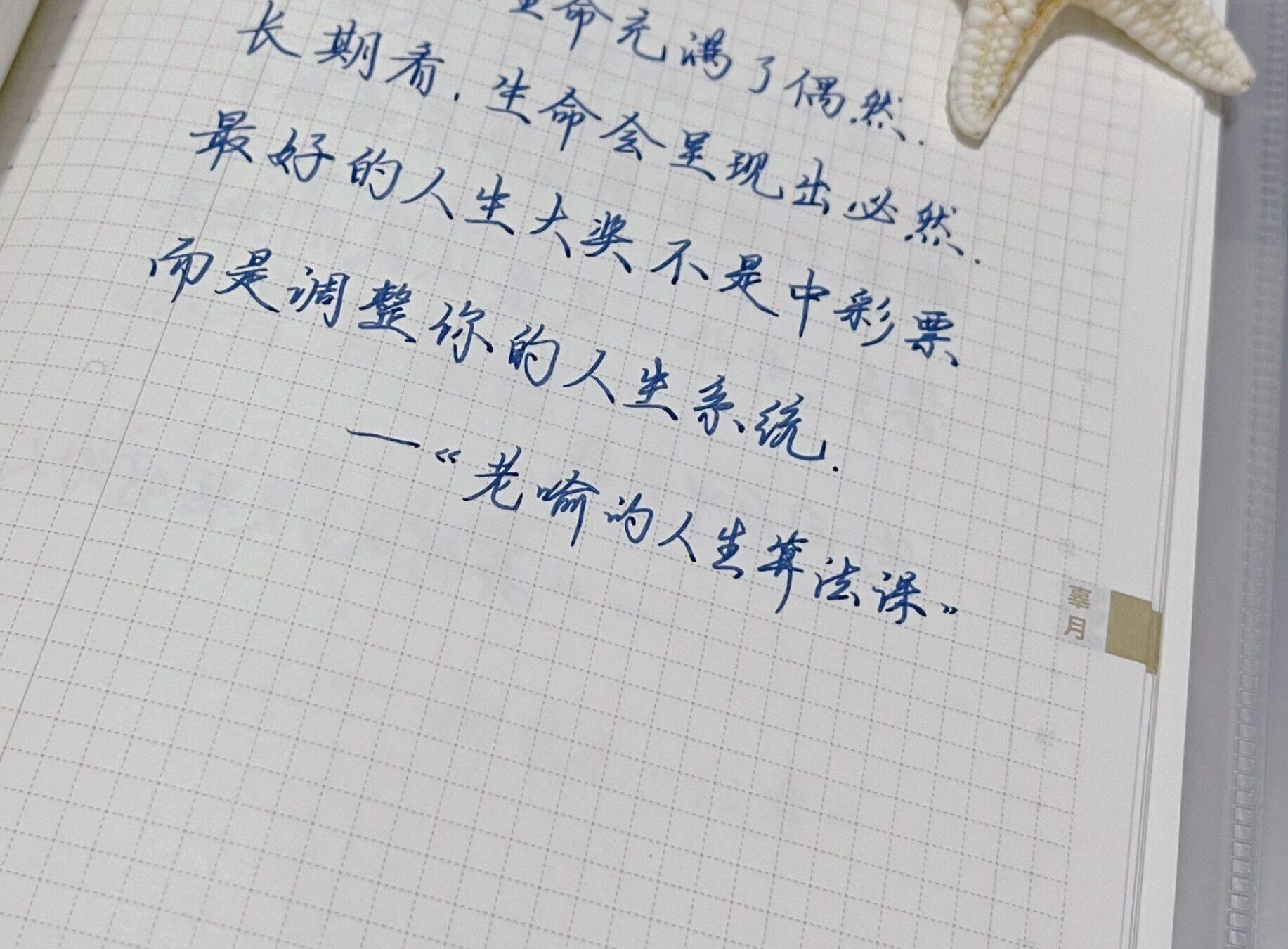 短期的偶然，长期的必然，真正大奖在于系统调整！🎁🌈