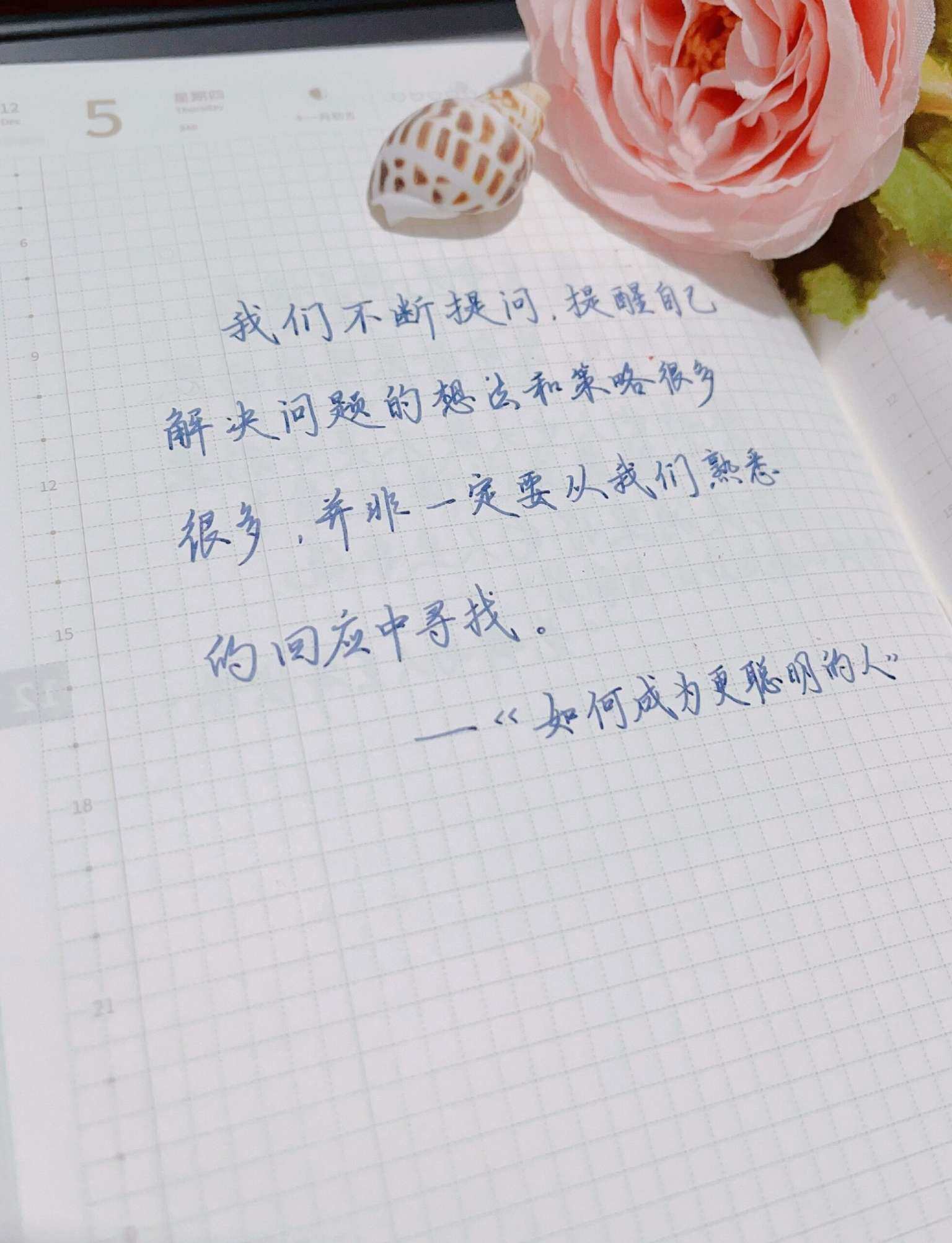 自在手帐2024年12月5日