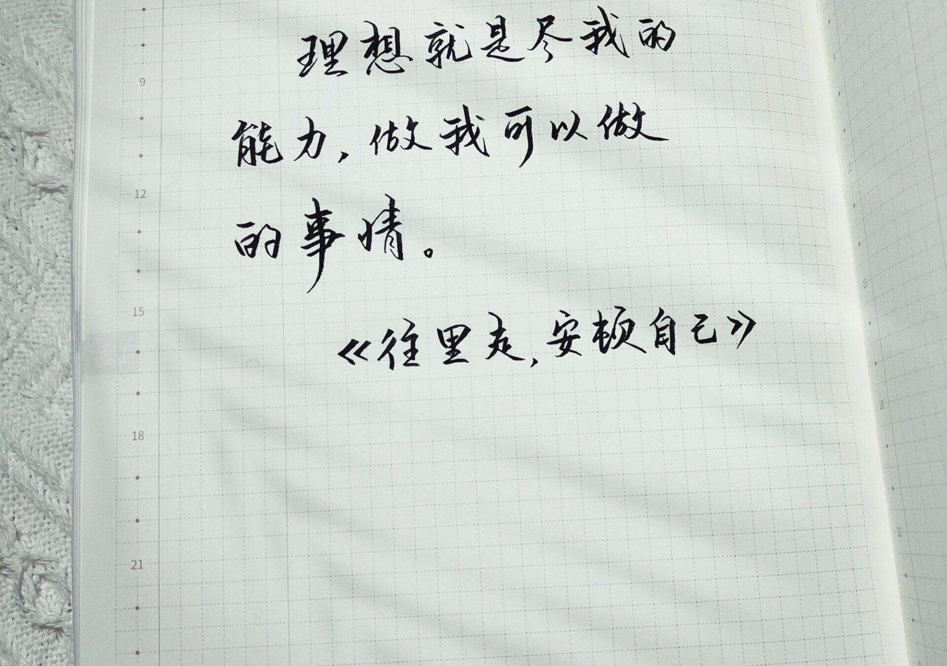 无需高远！理想是尽力而为，做好自己能做的！💫