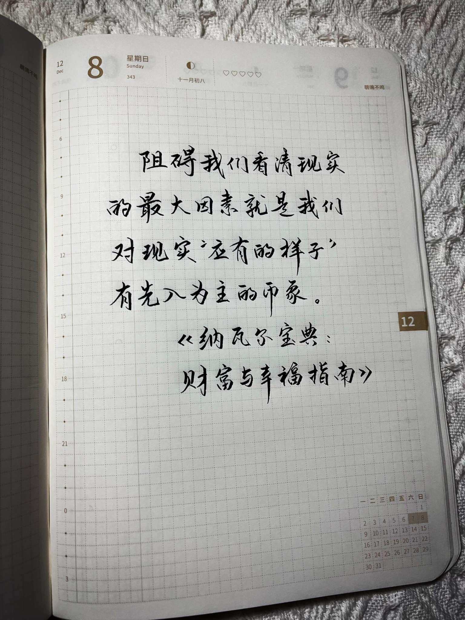 自在手帐2024年12月8日