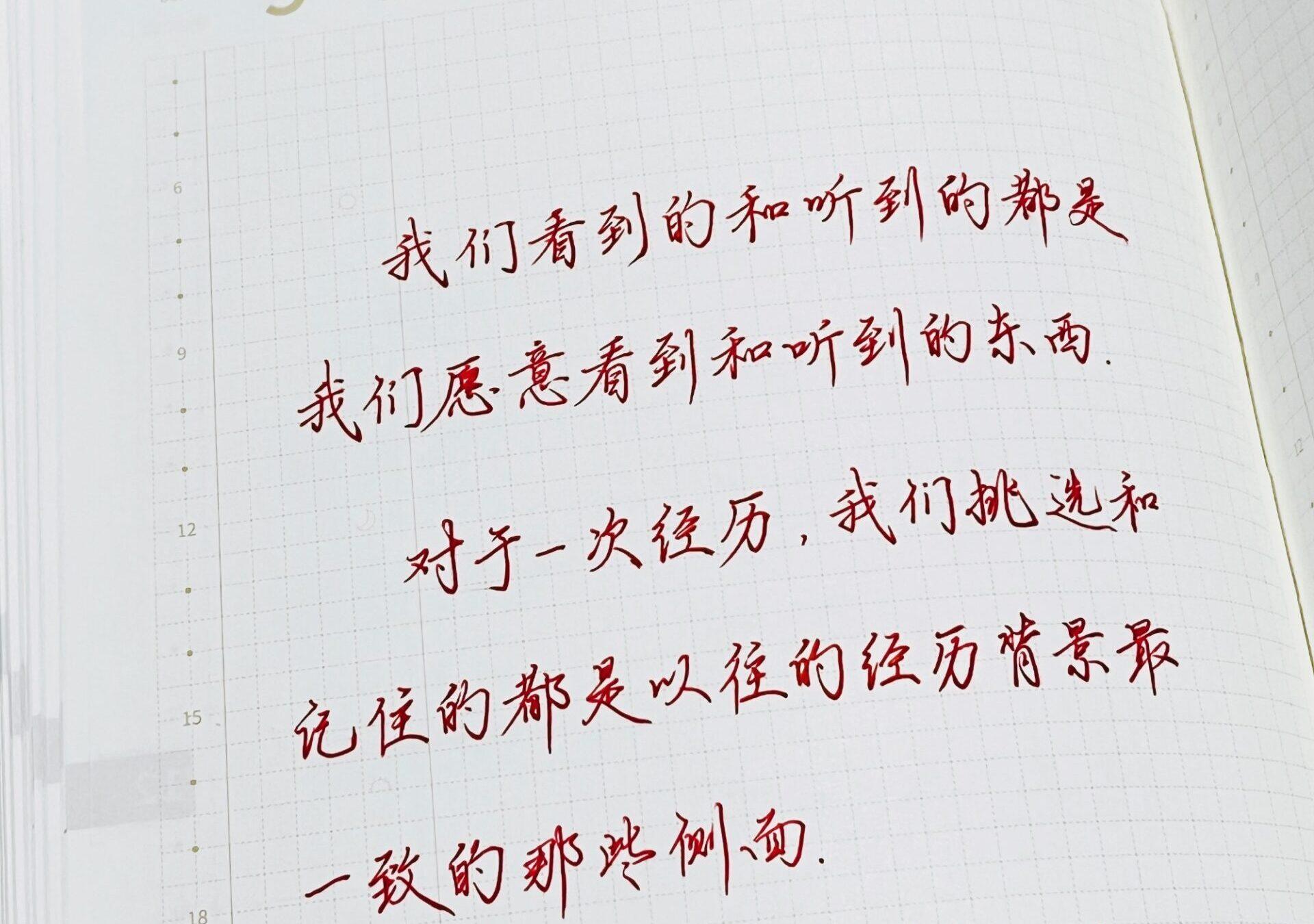 我们的视角被经验塑造，愿意看到的才会被记住！🌱🌀