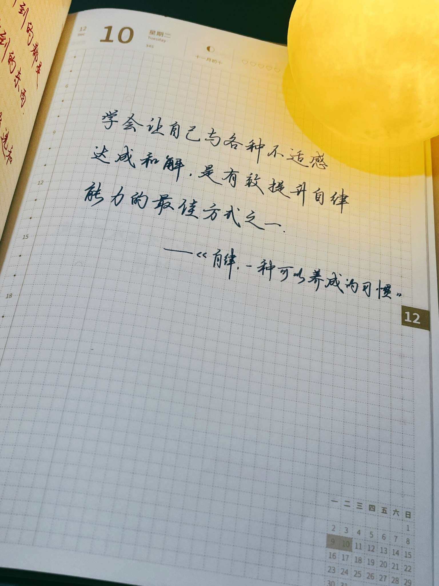 自在手帐2024年12月10日
