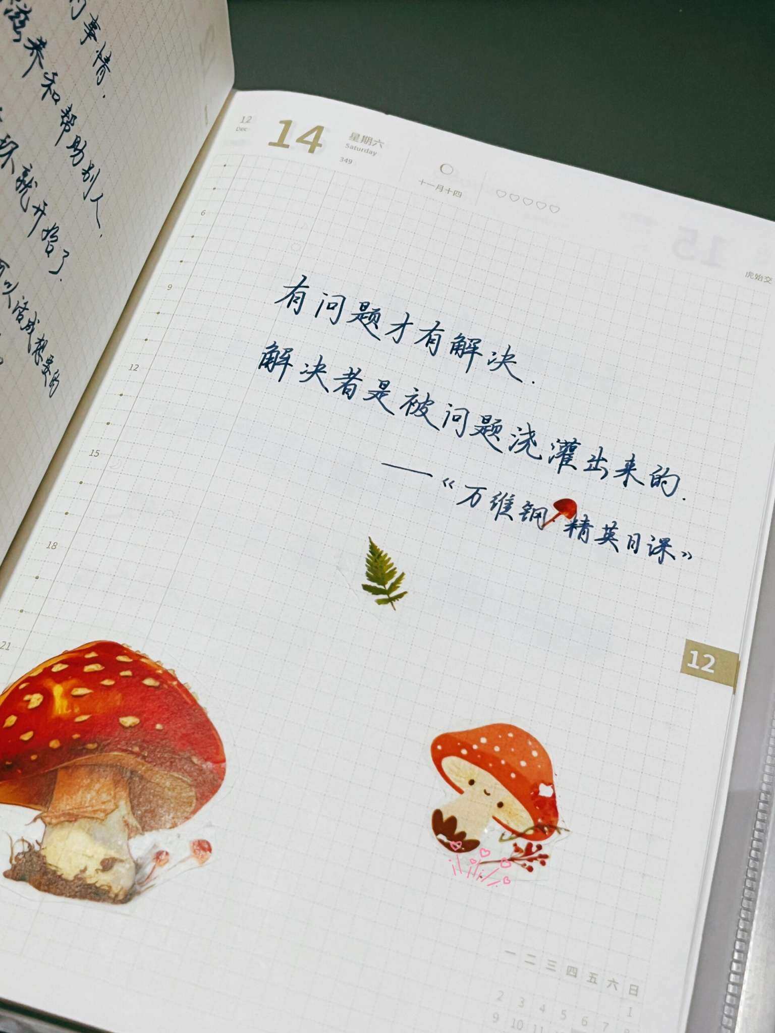 自在手帐2024年12月14日