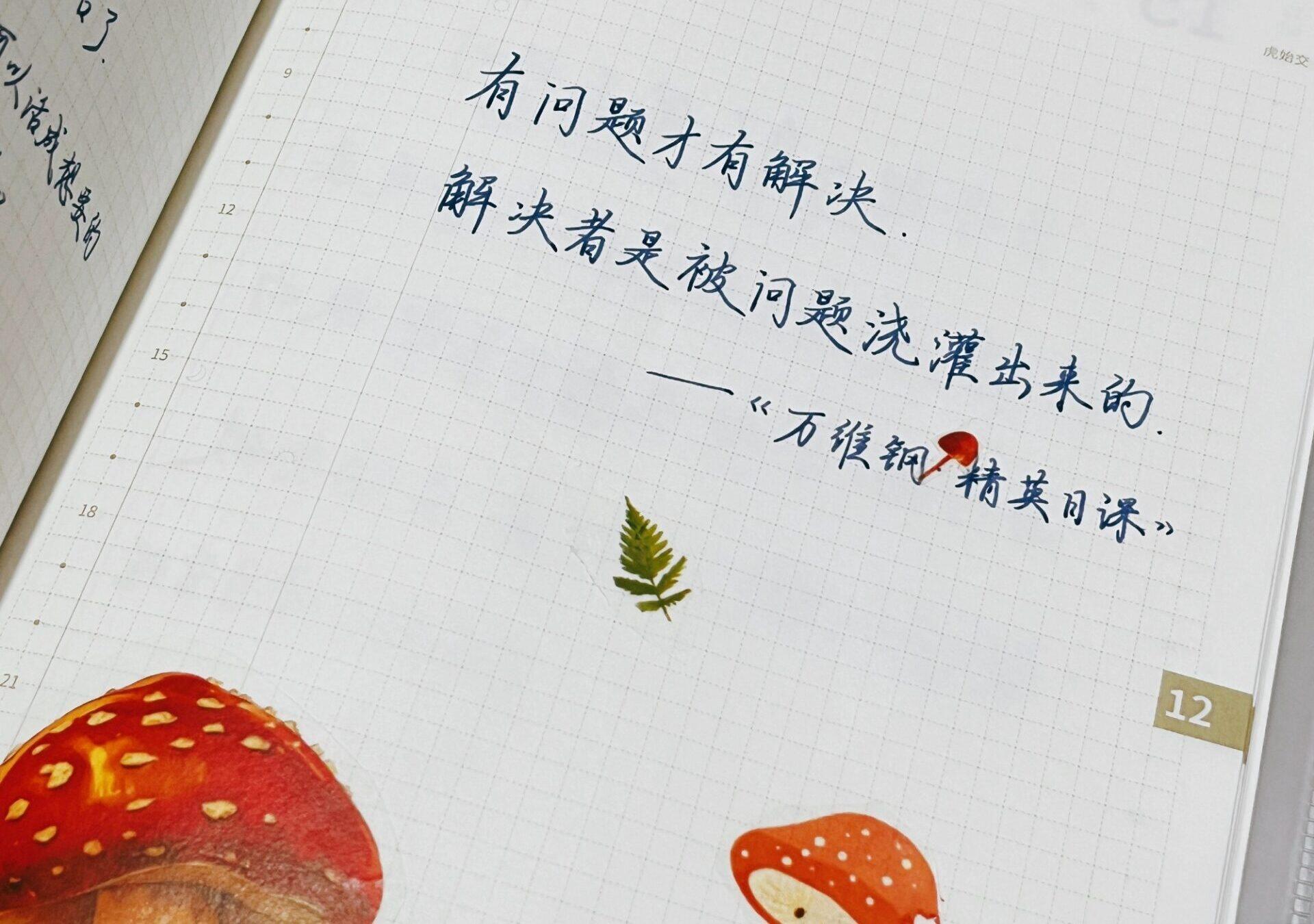 问题是最好的养料，滋养出最强的解决者！🌱🎯