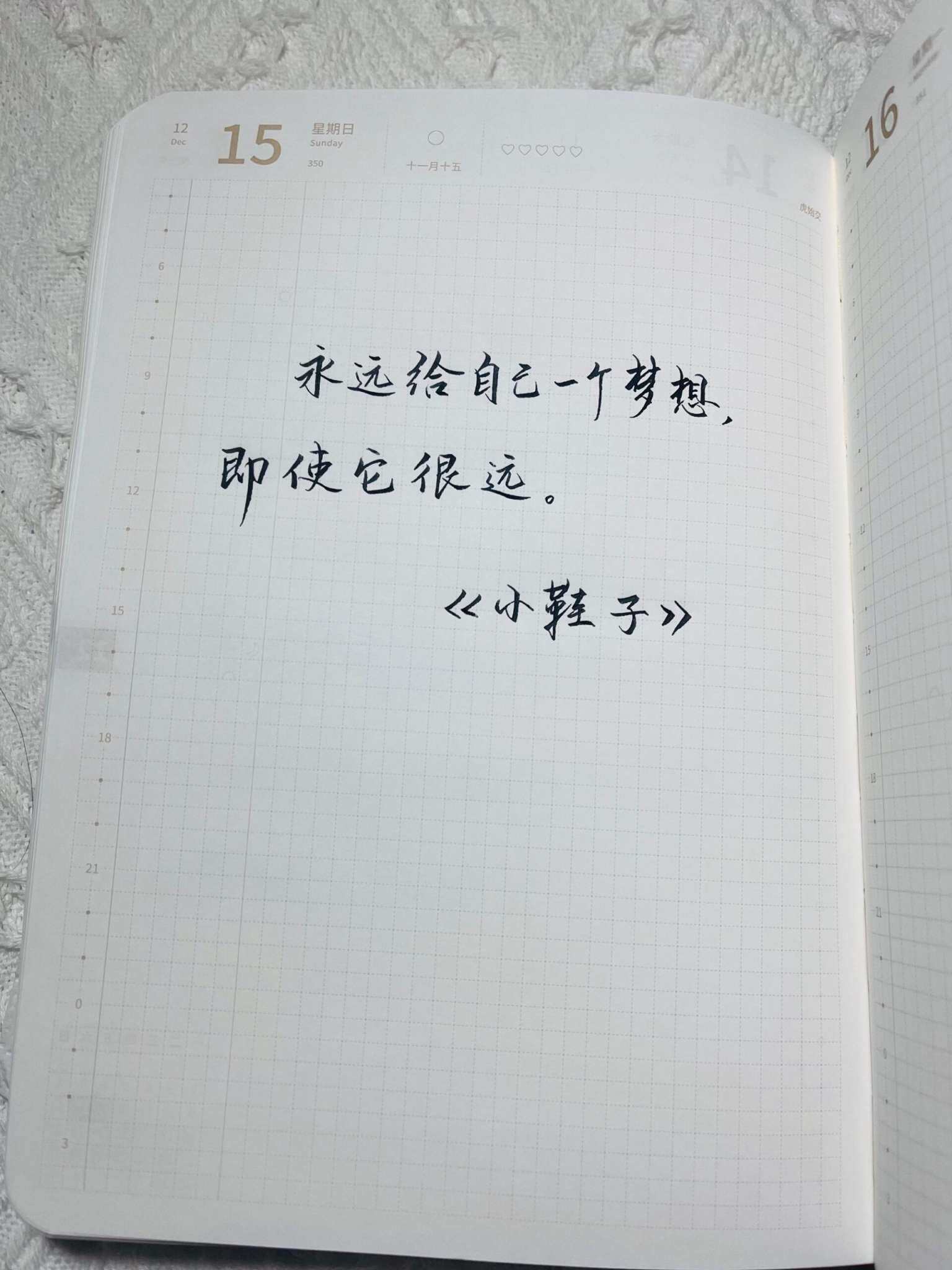 自在手帐2024年12月15日