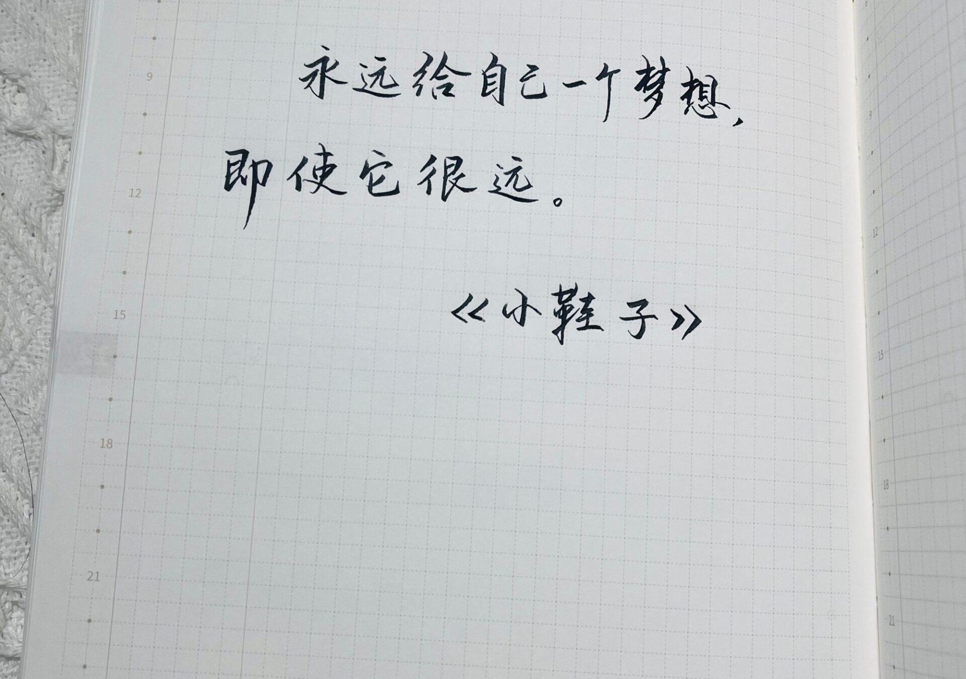 心怀梦想，无论多遥远，它都是你前进的动力！🌍