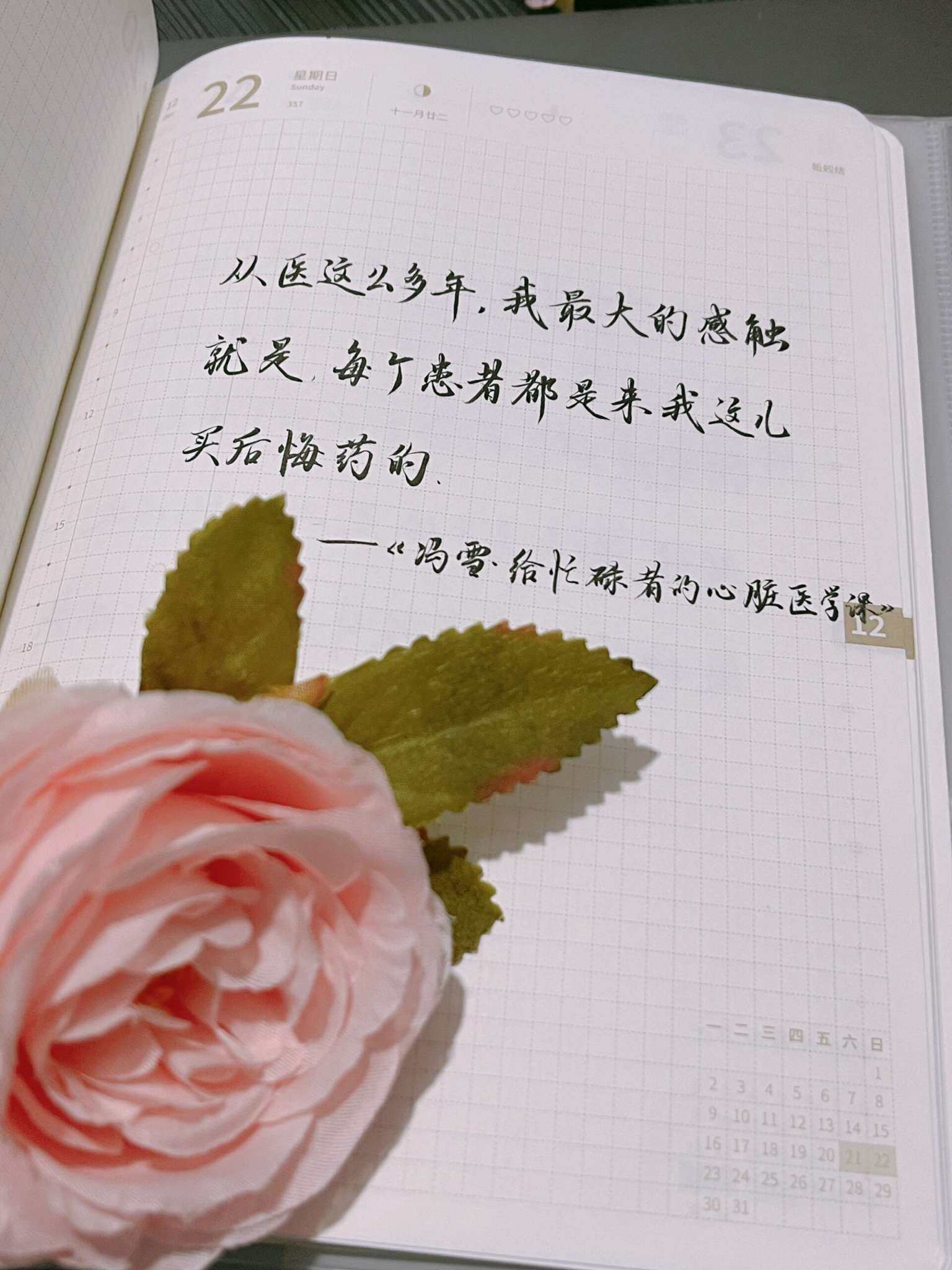 自在手帐2024年12月22日