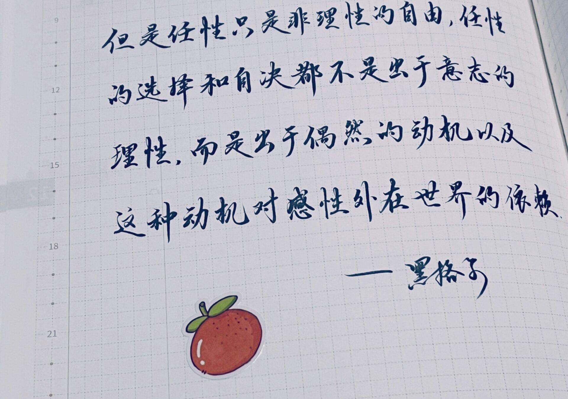 任性是感性依赖，自由是理性觉醒！💬🧩