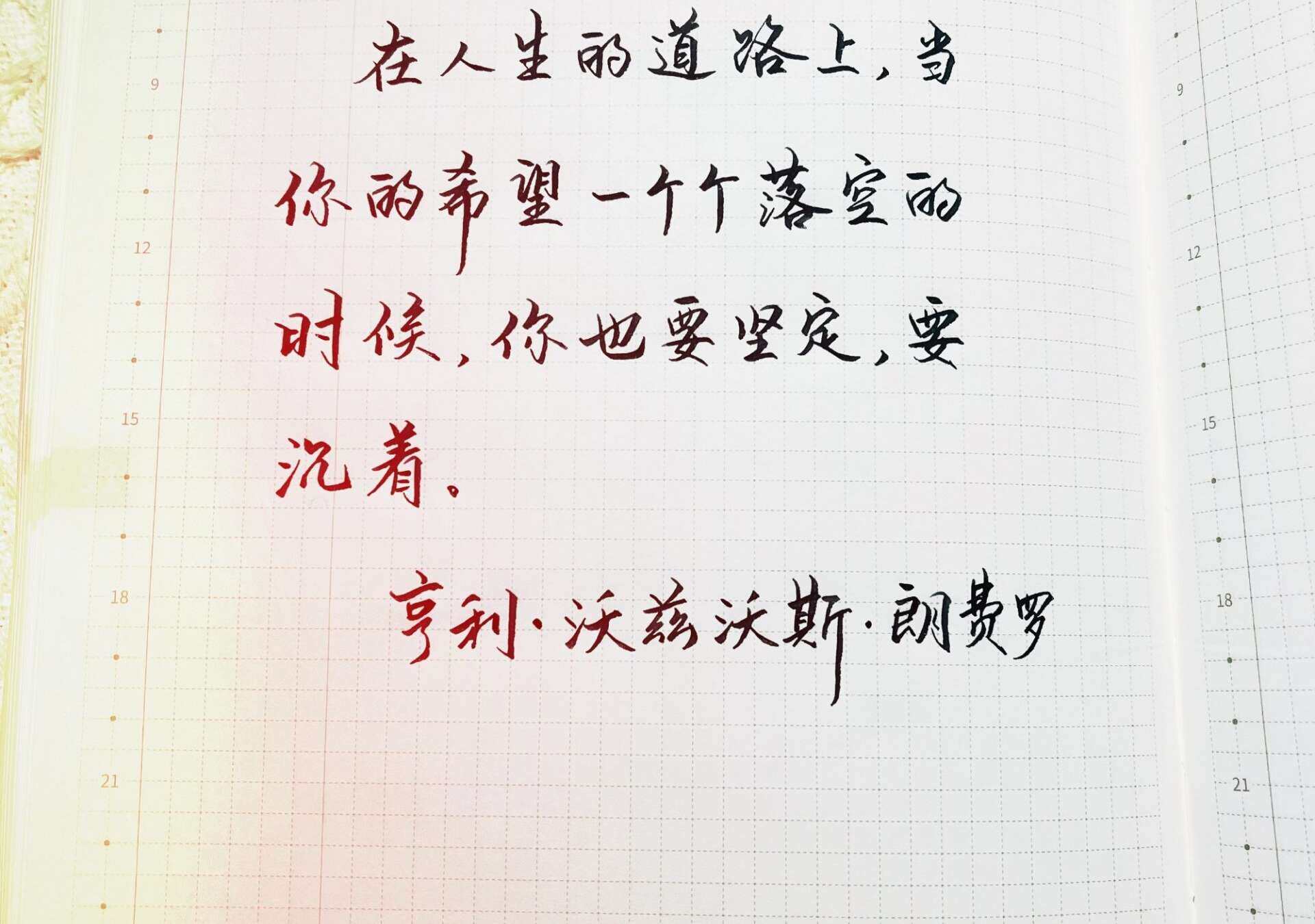 即使希望破灭，也要稳住脚步，沉着面对！🎯🌿
