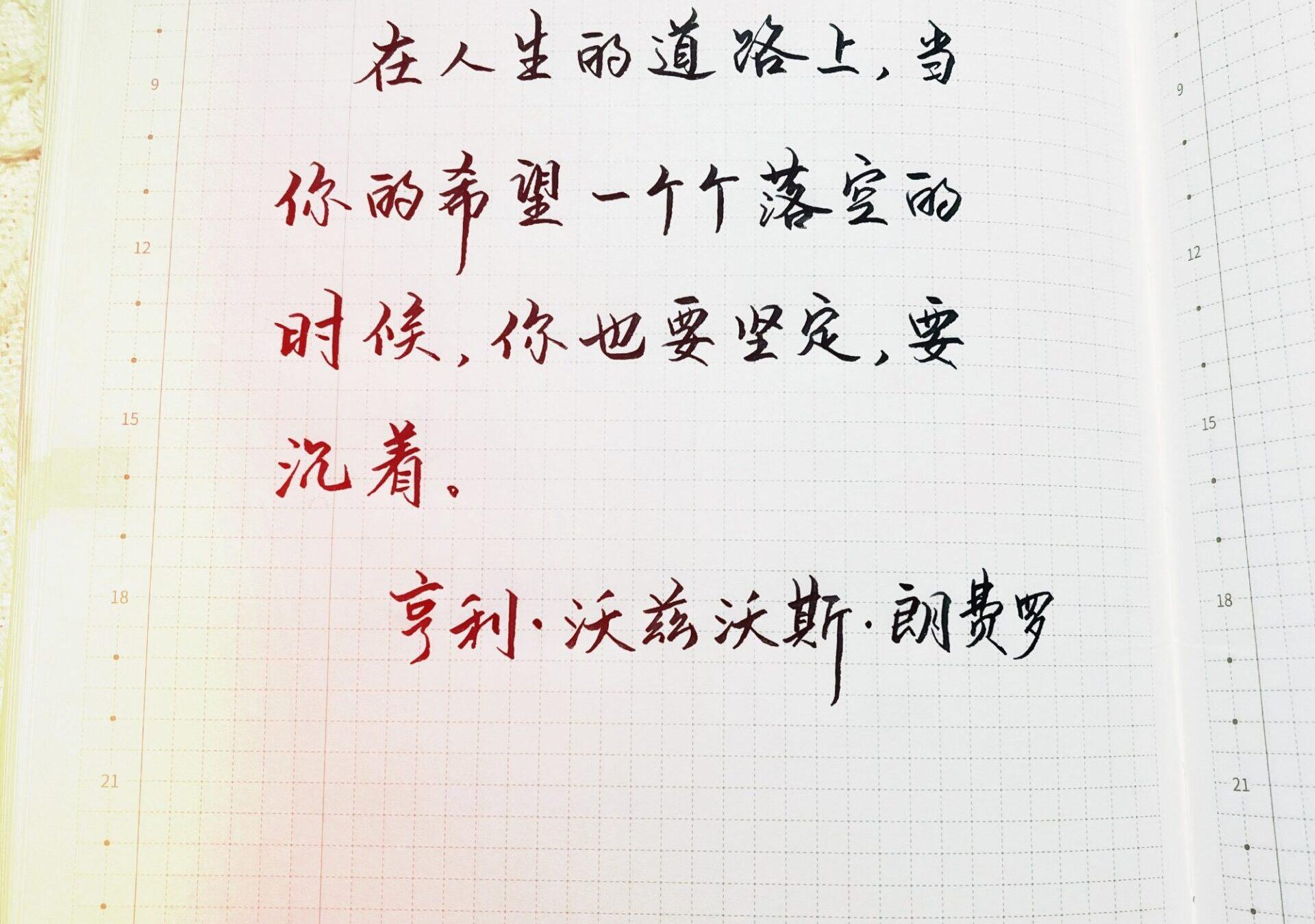 即使希望破灭，也要稳住脚步，沉着面对！🎯🌿