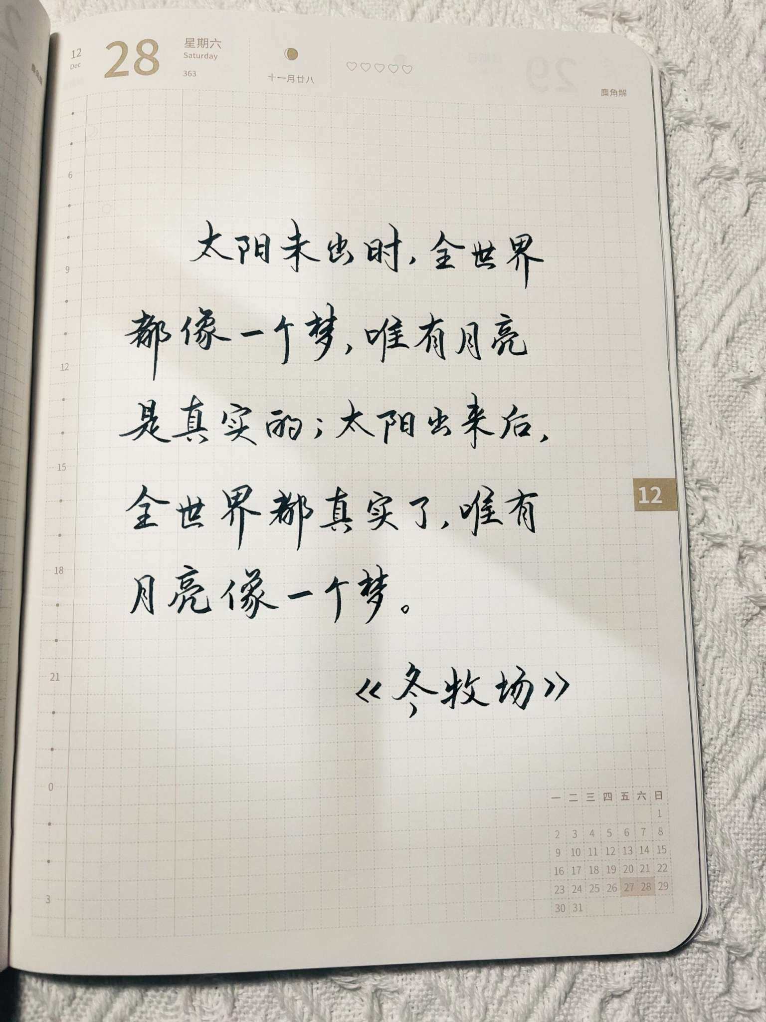 自在手帐2024年12月28日