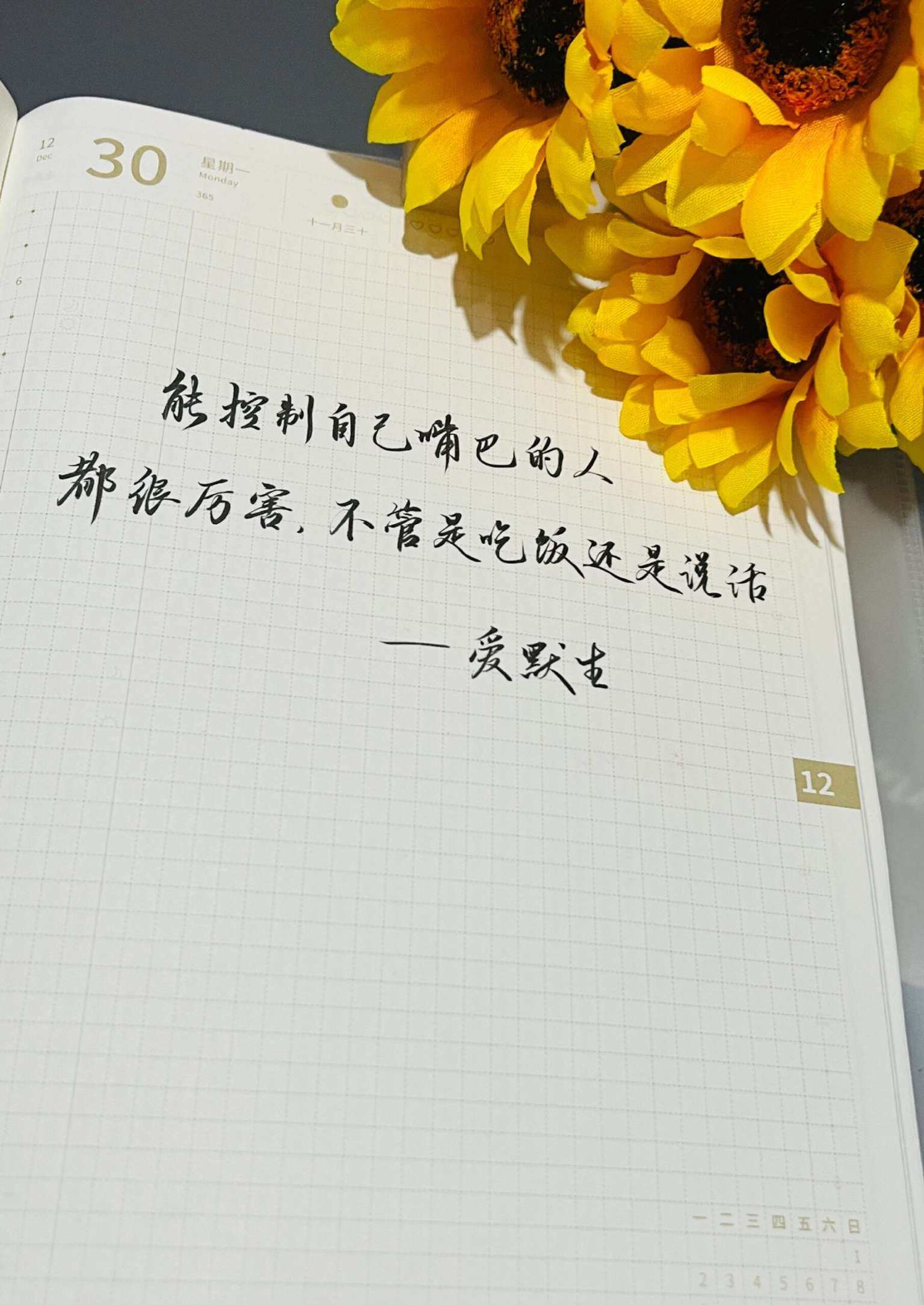 自在手帐2024年12月30日