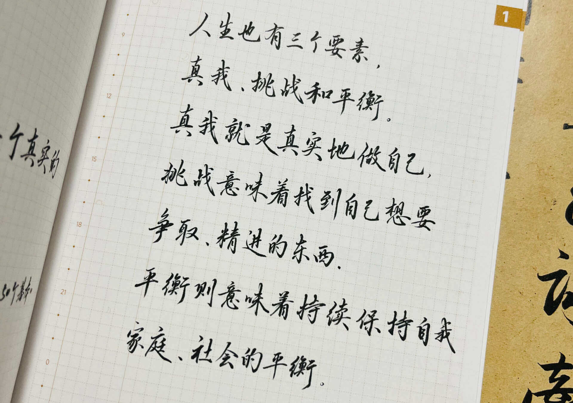 人生三要素 | 解锁生活的密码✨