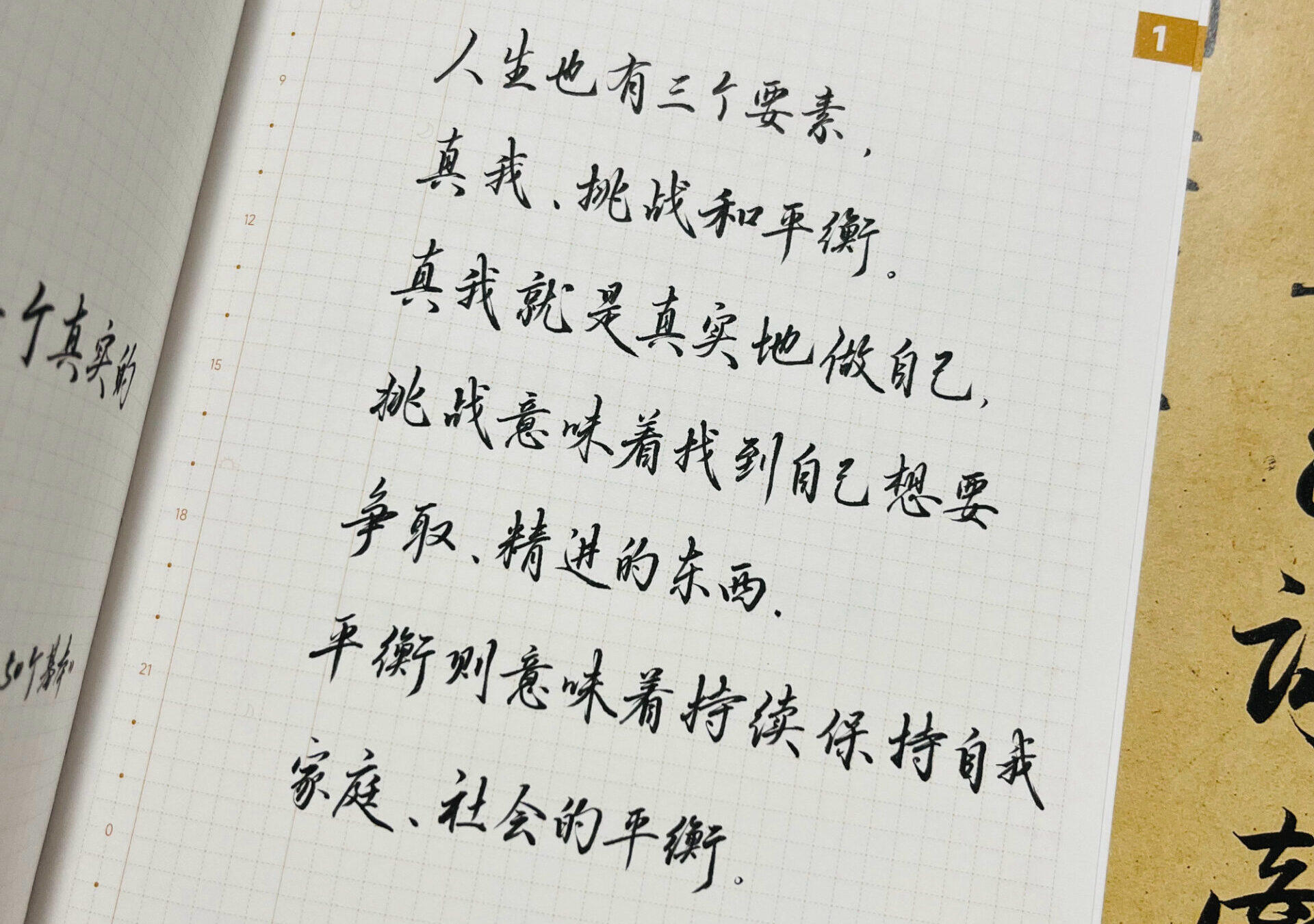 人生三要素 | 解锁生活的密码✨