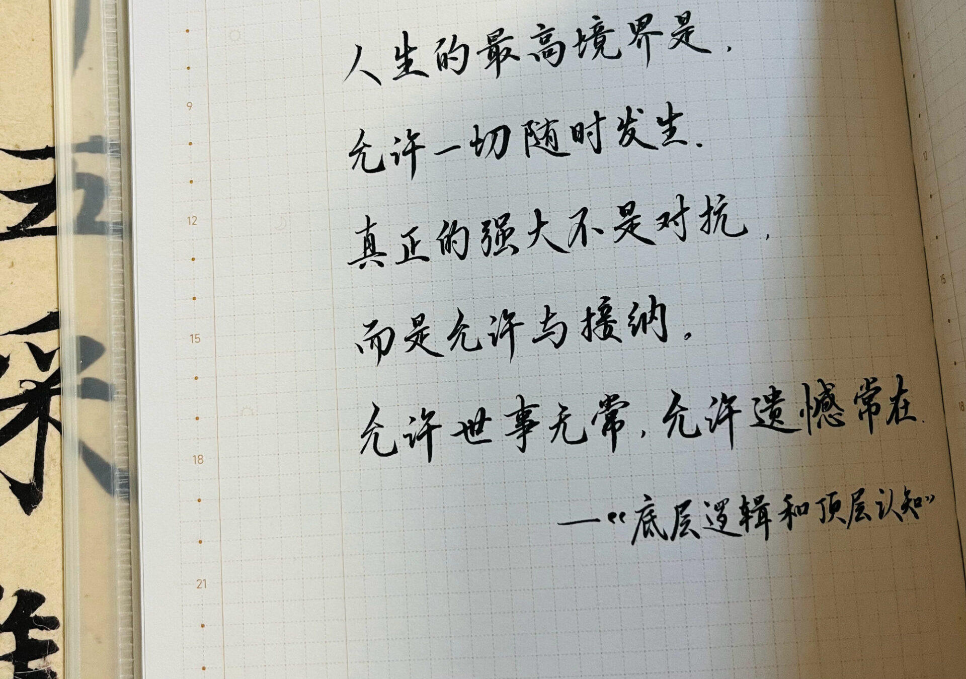 人生最高境界 | 允许一切发生✨