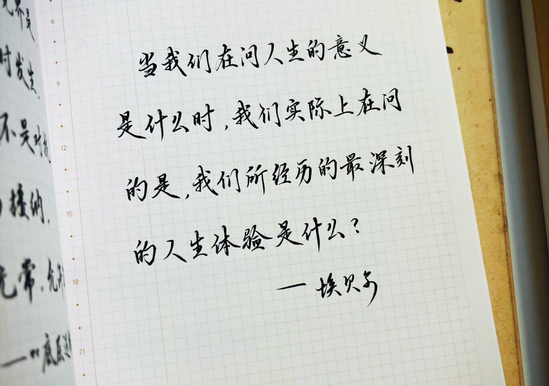 人生意义探寻 | 藏在深刻体验中的答案✨