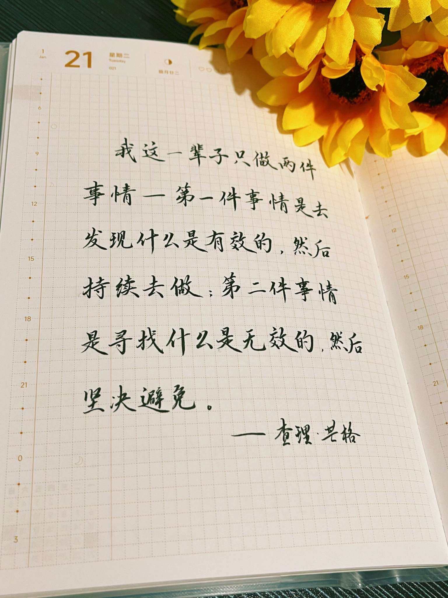 自在手帐2025年1月21日
