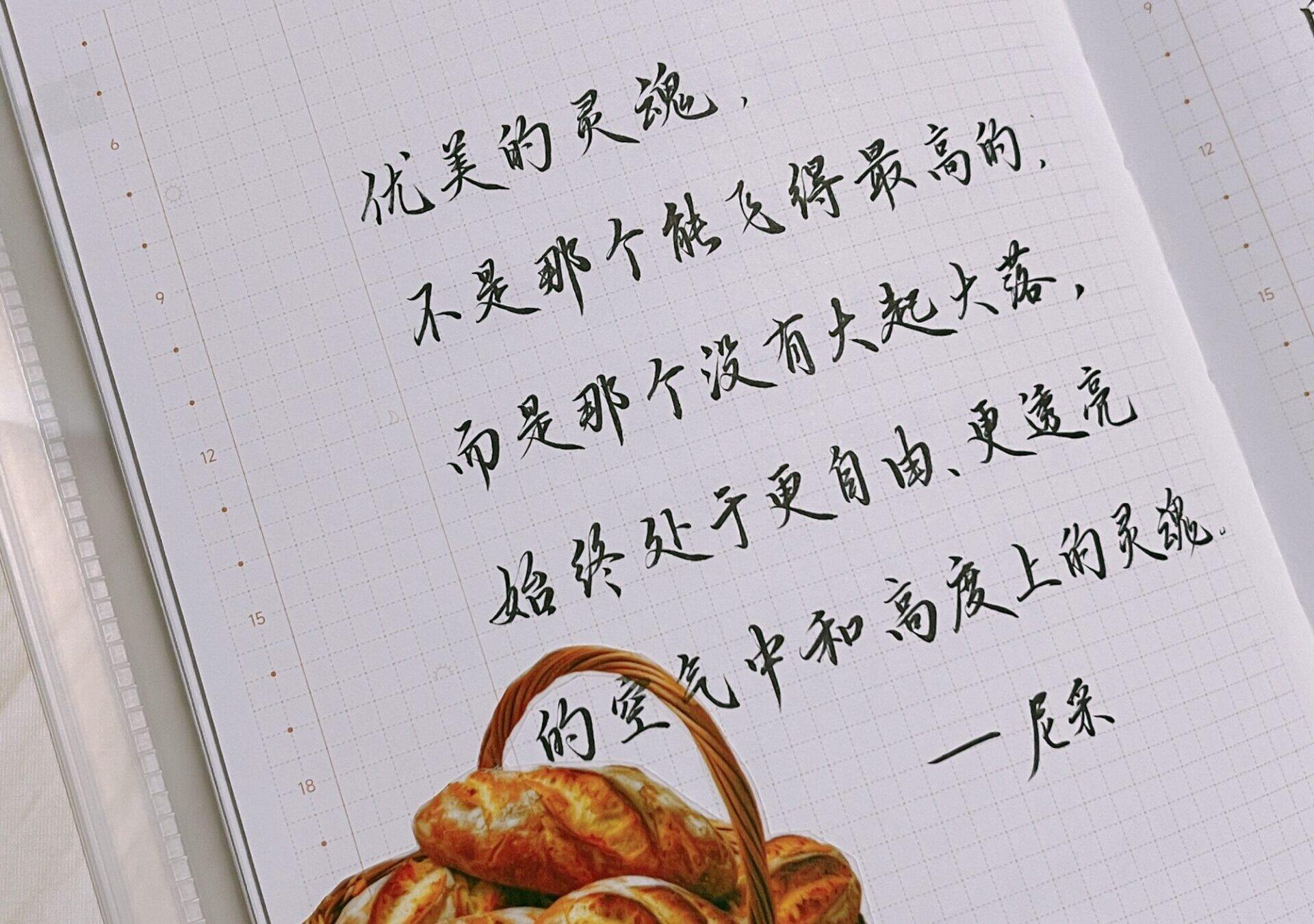 💕追寻那自由又透亮的灵魂💕