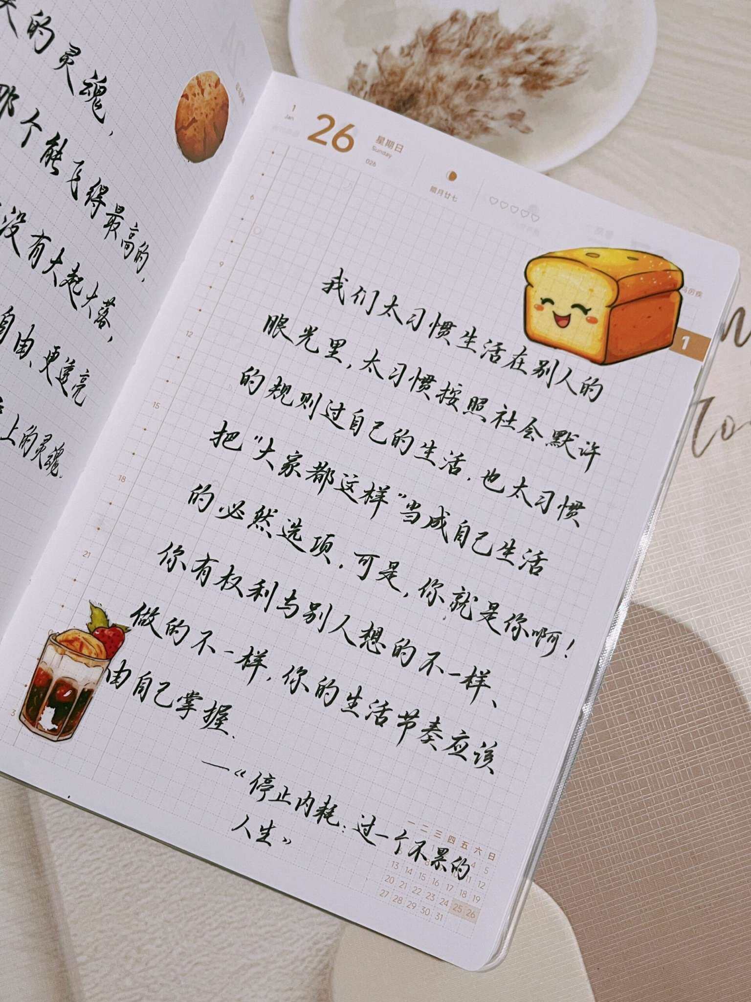 自在手帐2025年1月26日