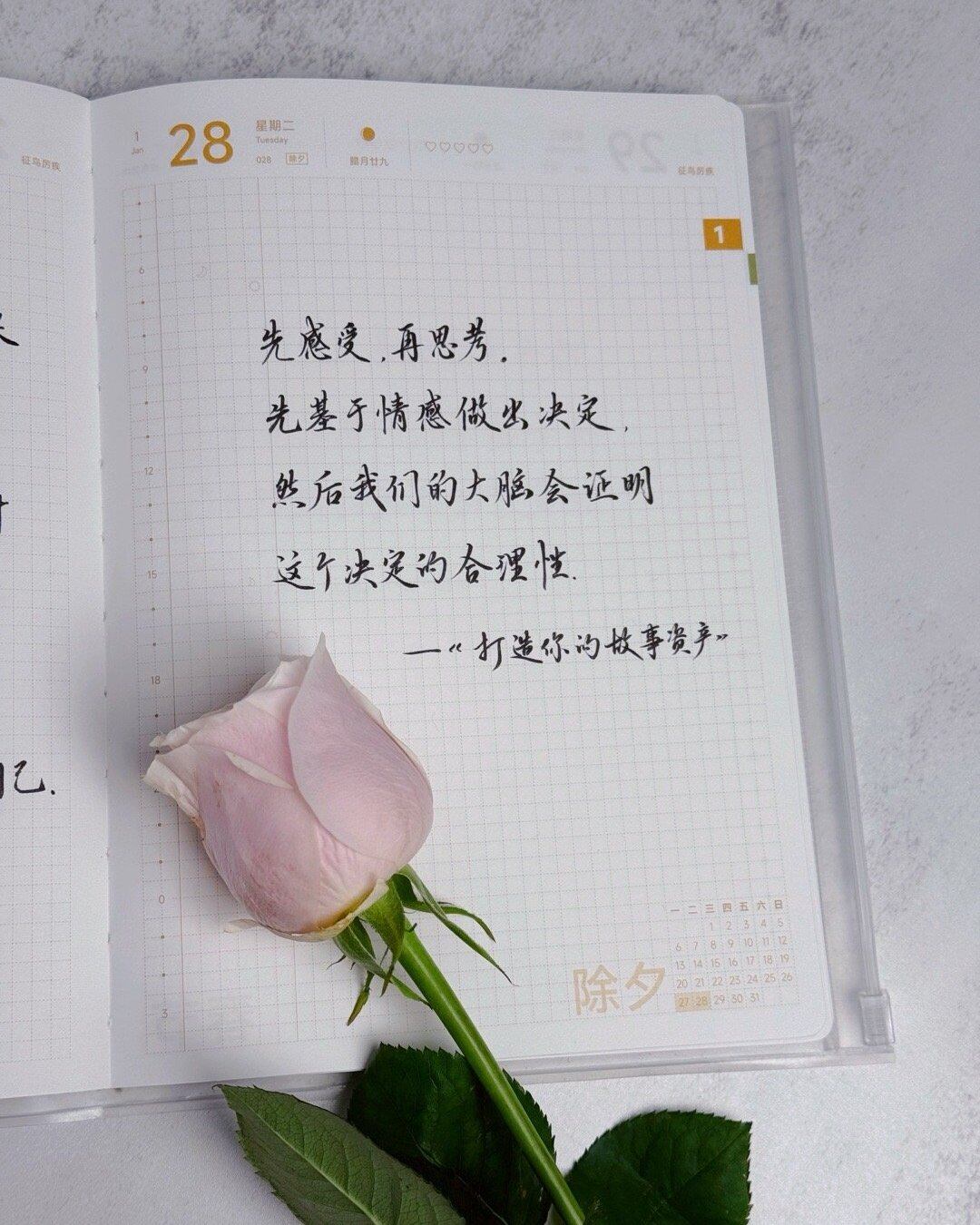 先感受，再思考