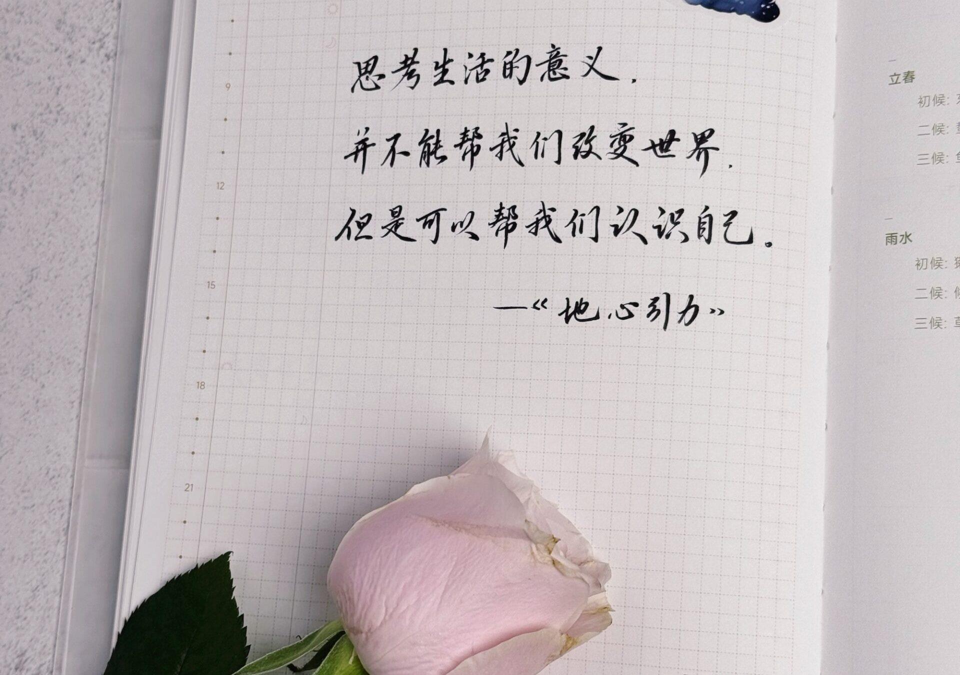 🔍探寻生活意义：认识自我的旅程