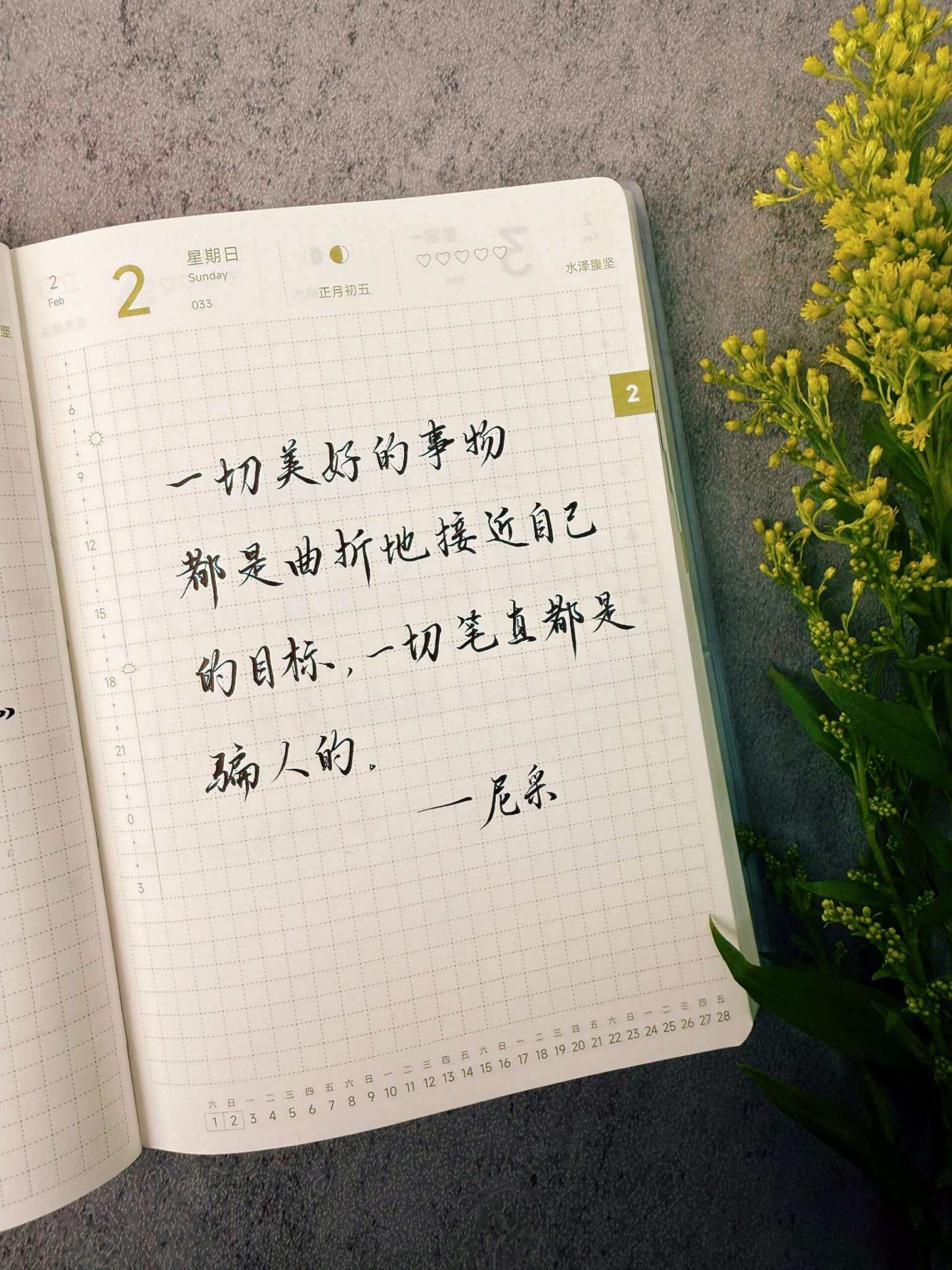 自在手帐2025年2月2日